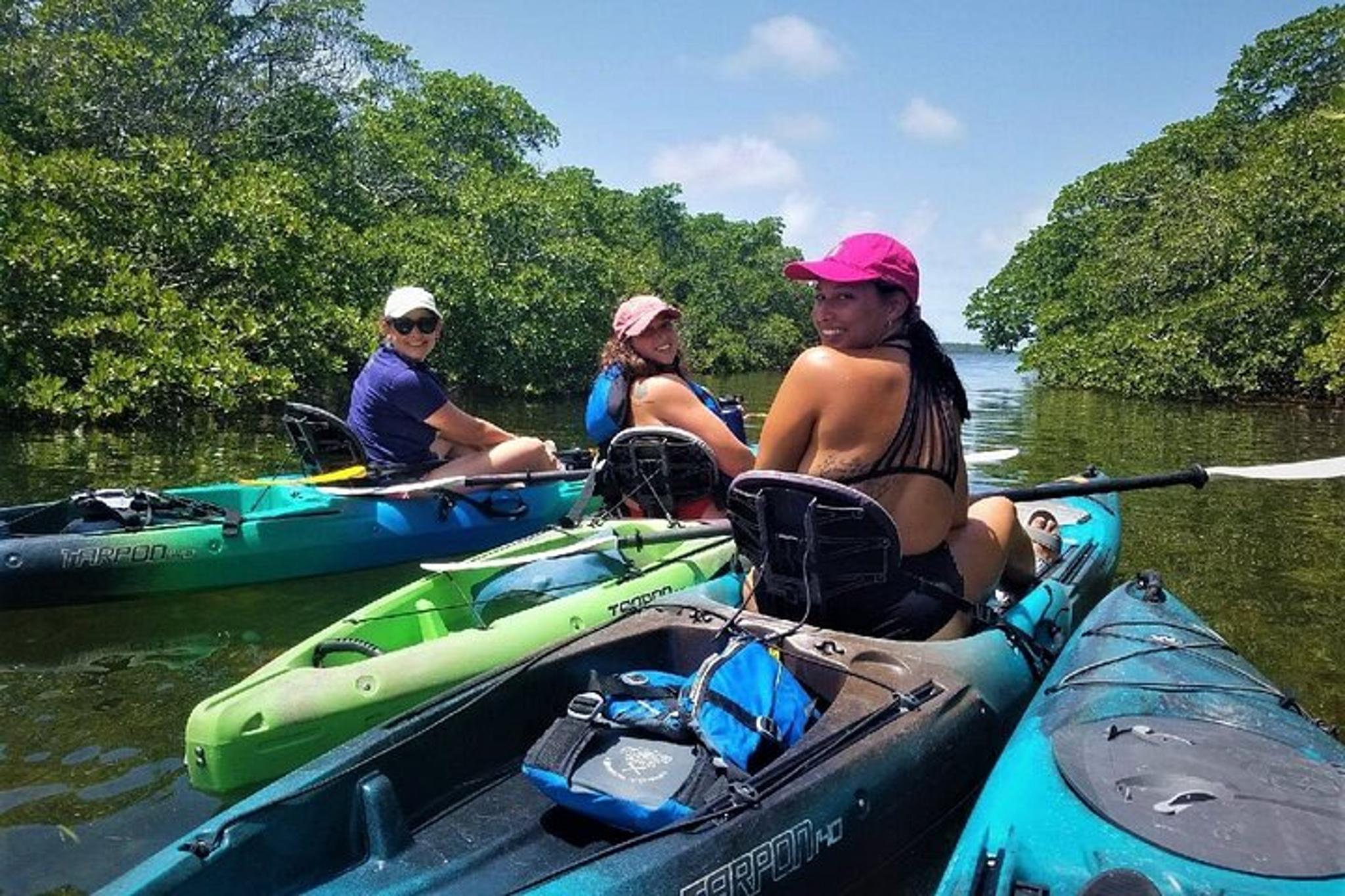 Key Largo Mangrove Tunnel Kayak Adventure - Image 3