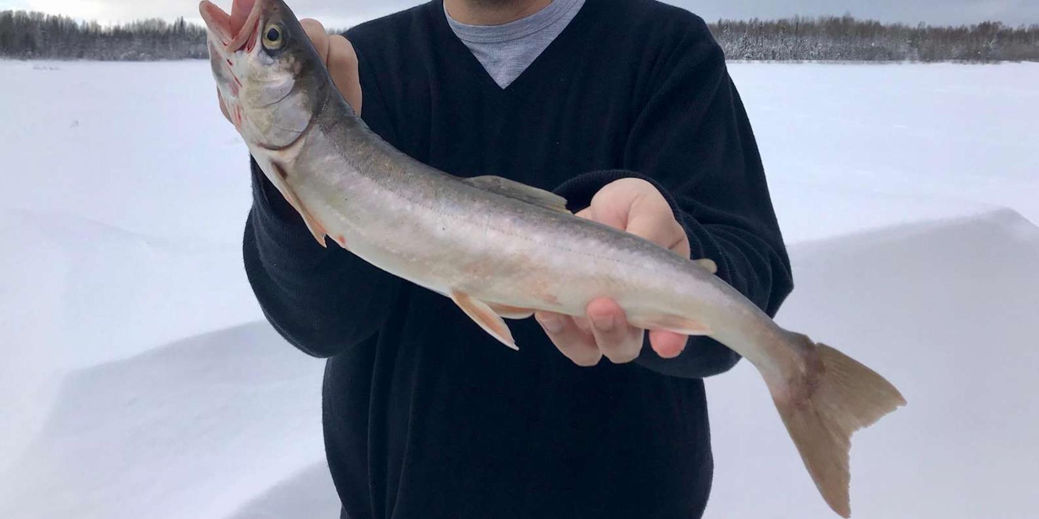 Fairbanks Ice Fishing Tour in Heated Cabin - Image 6