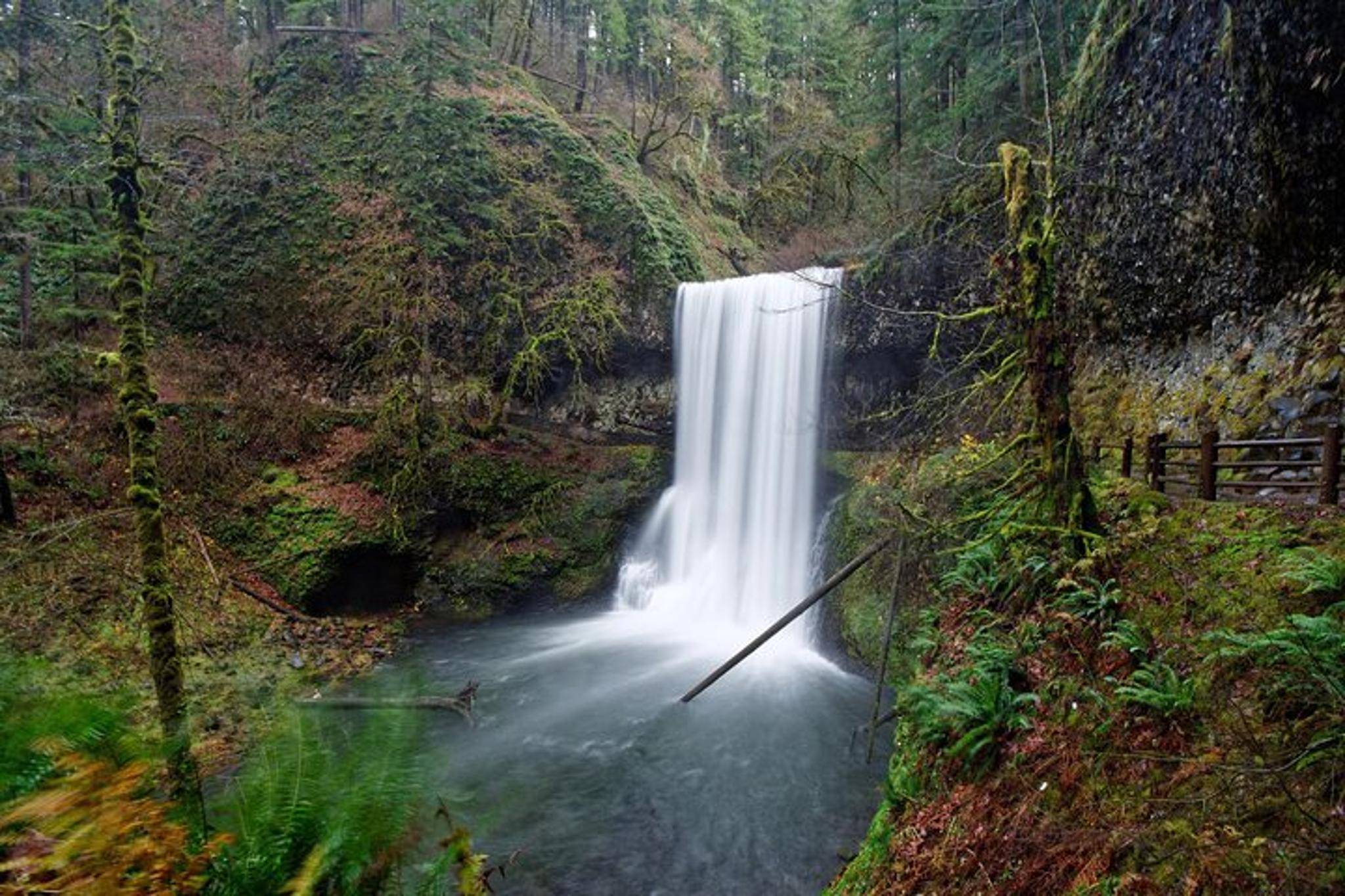 Silver Falls Private Hike Tour - Image 3
