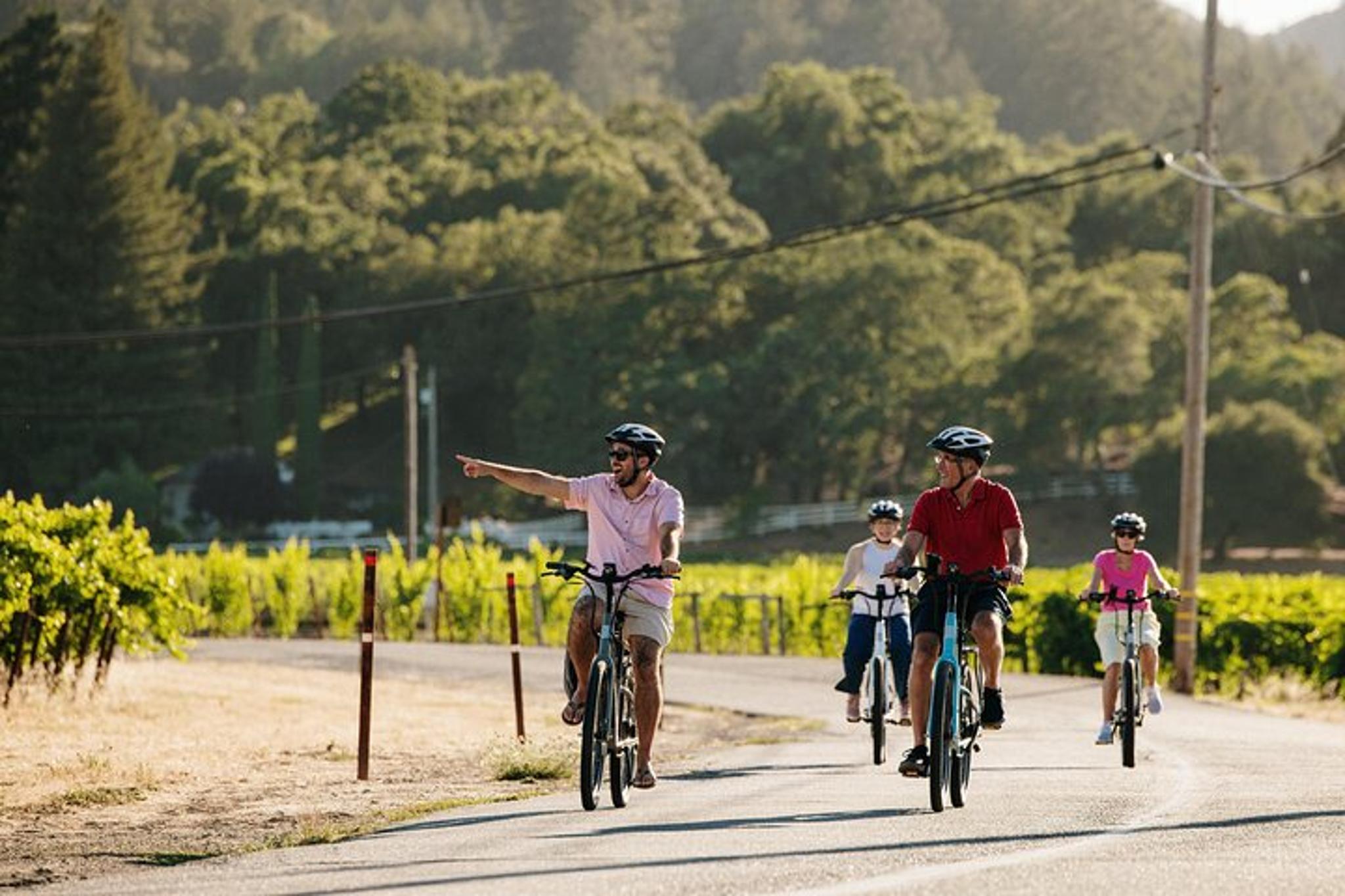 Sonoma Electric Bike Wine Tasting Tour with Lunch