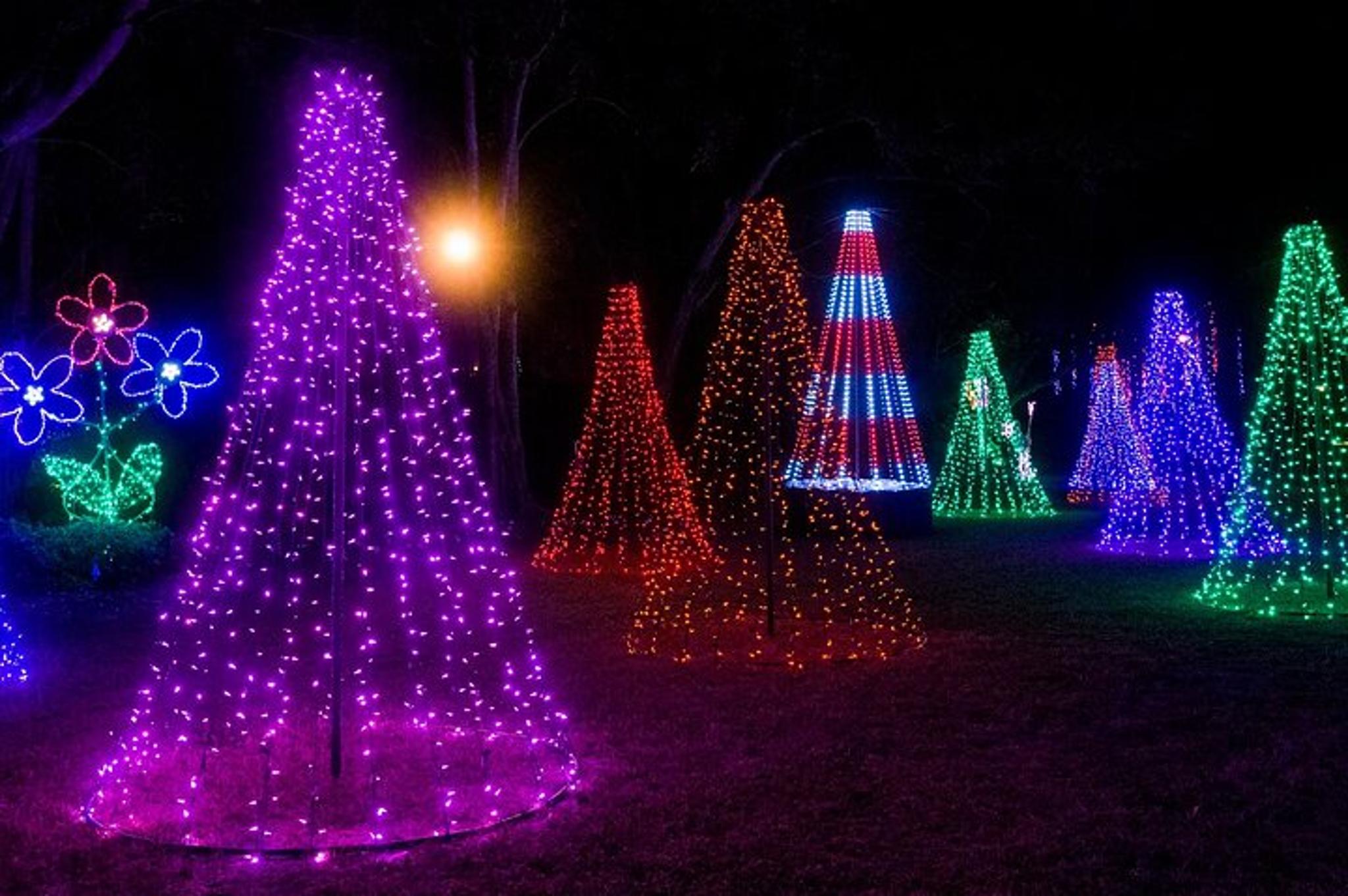 Tampa Christmas Village Private Tour 90 min - Image 5