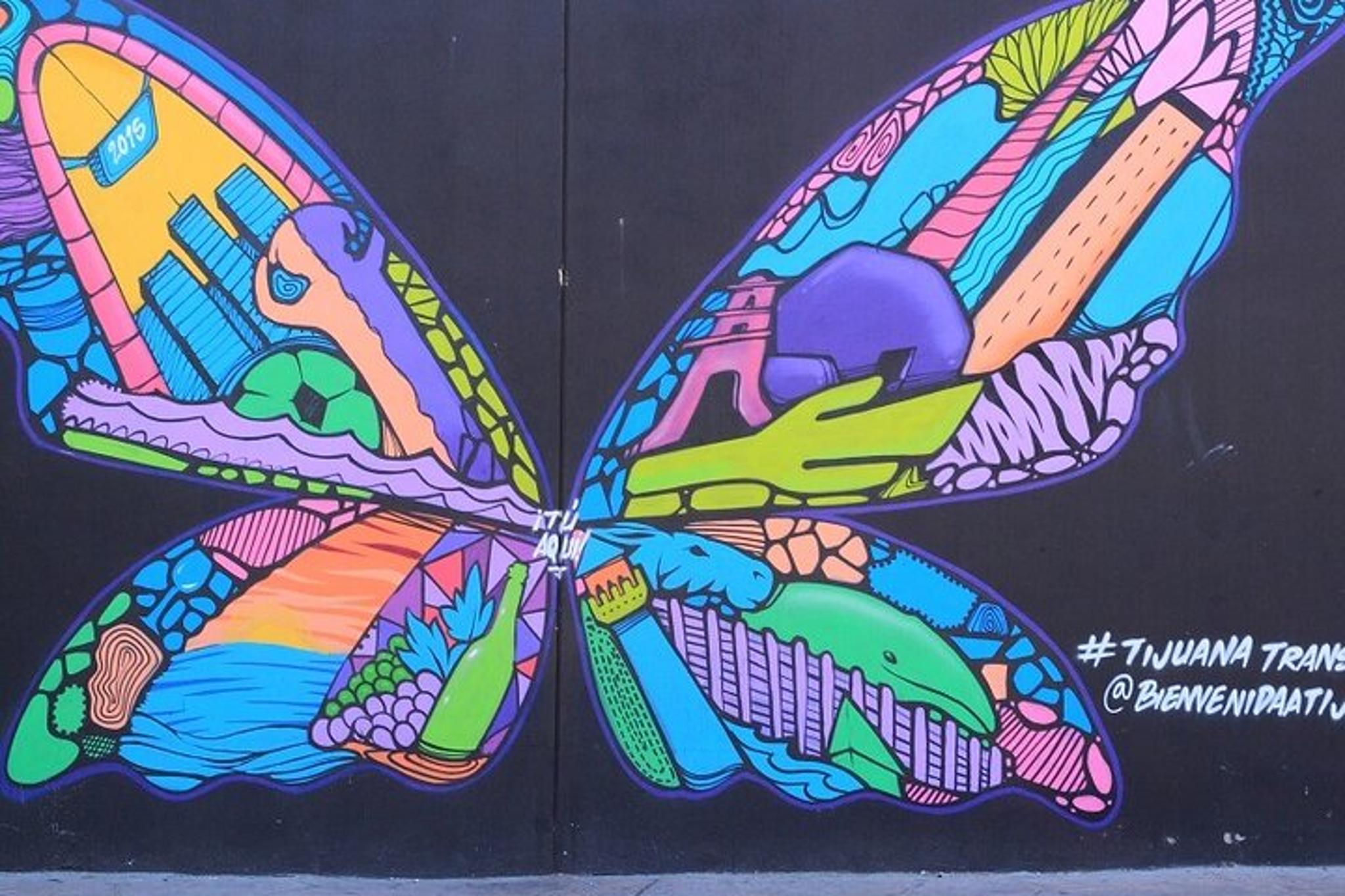 Tijuana Urban Art Walk from San Diego - Image 3