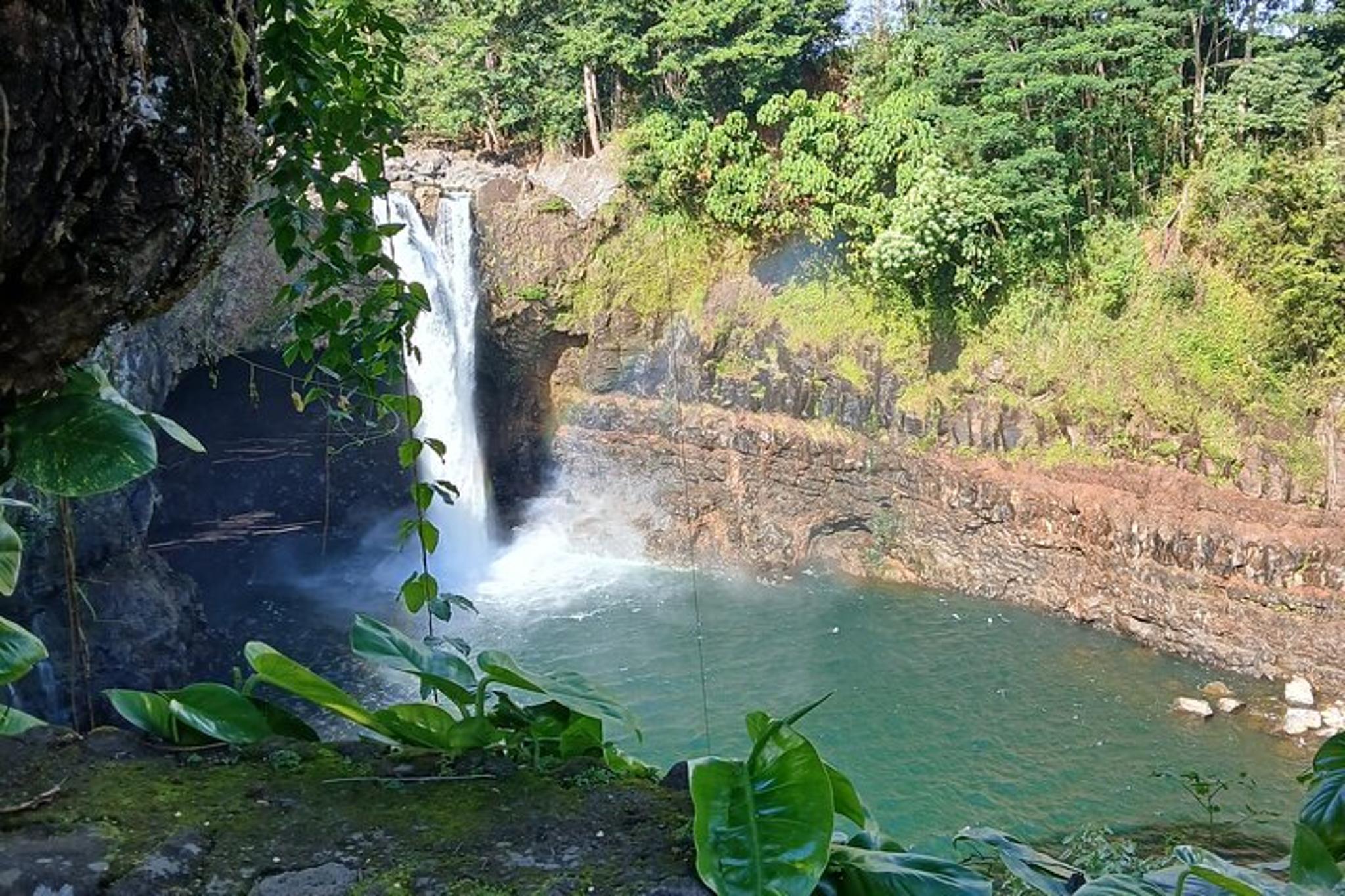 Hilo Volcano National Park Shore Excursion - Image 4