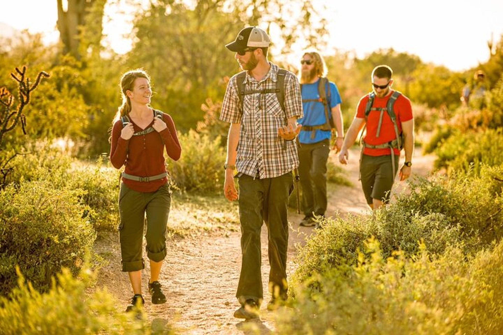 Scottsdale Sonoran Desert Guided Hike 2 hr - Image 2