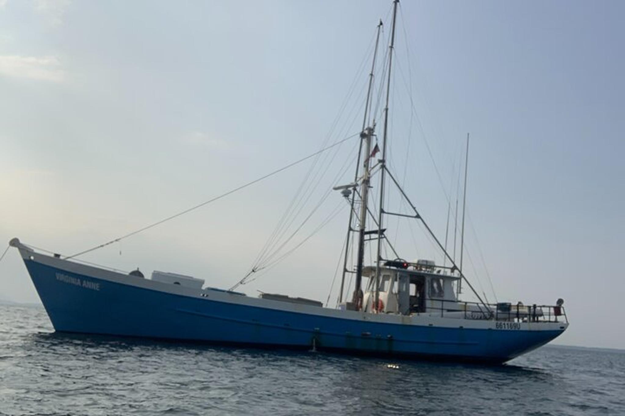 Bellingham Scavenger Hunt - Image 5