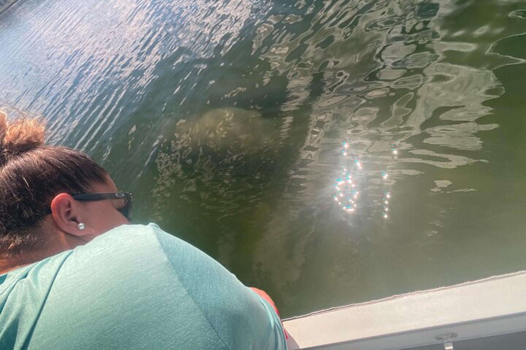 Crystal River Manatee Boat Tour - Image 5