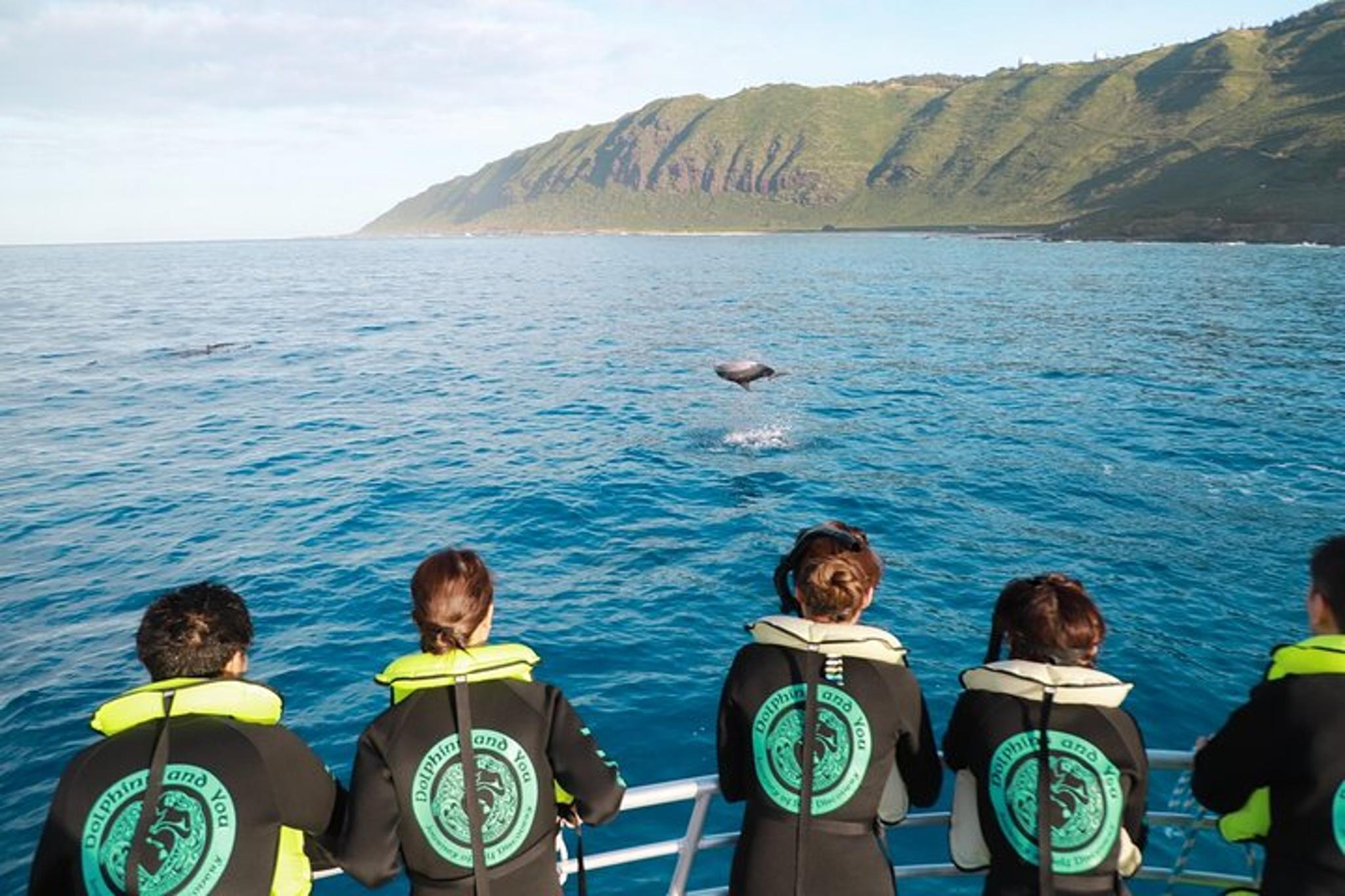 Oahu Dolphin and Snorkel Tour with Waikiki Pickup - Image 4