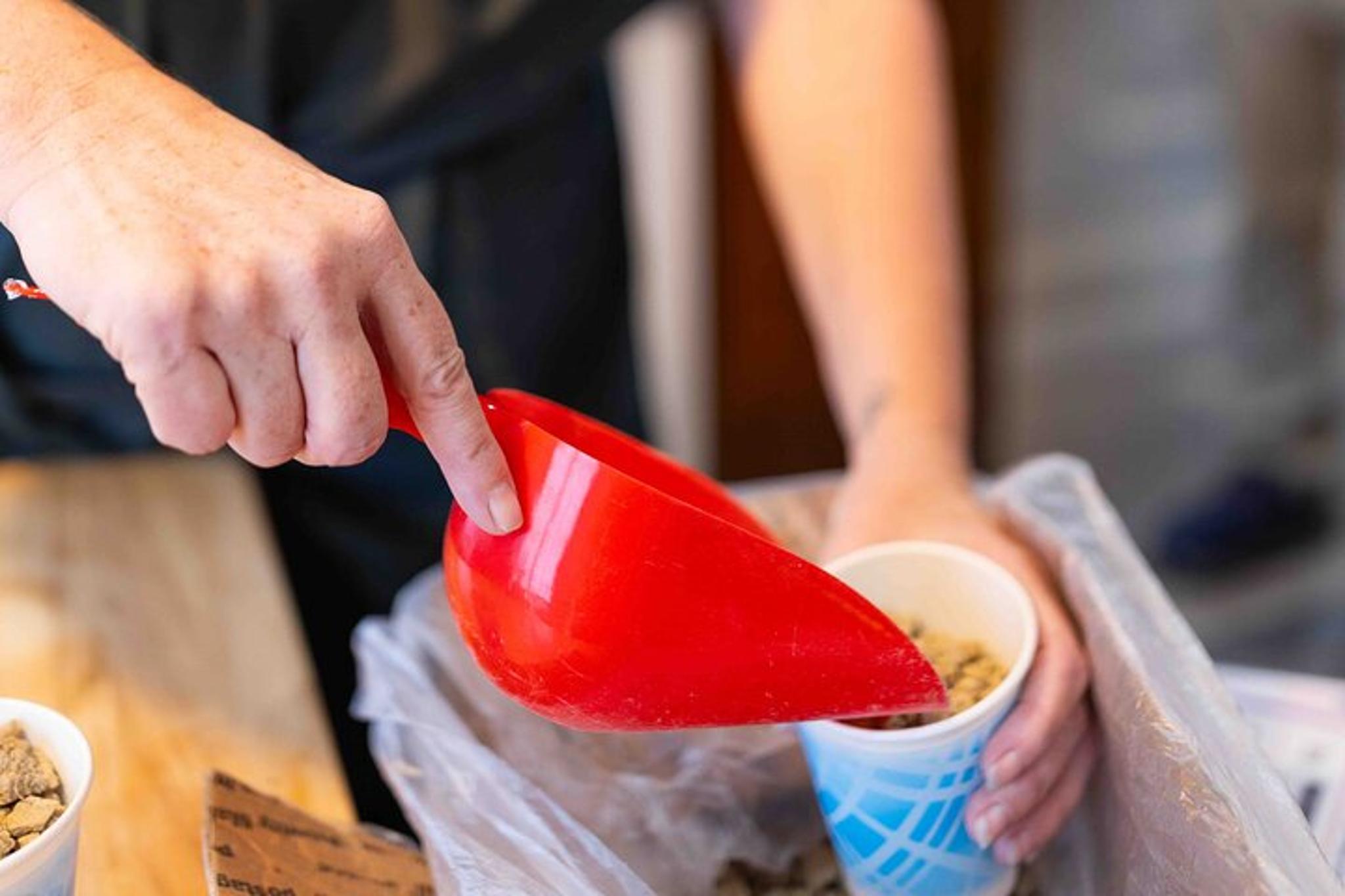 Seattle Sapphire Mining Experience - Image 6