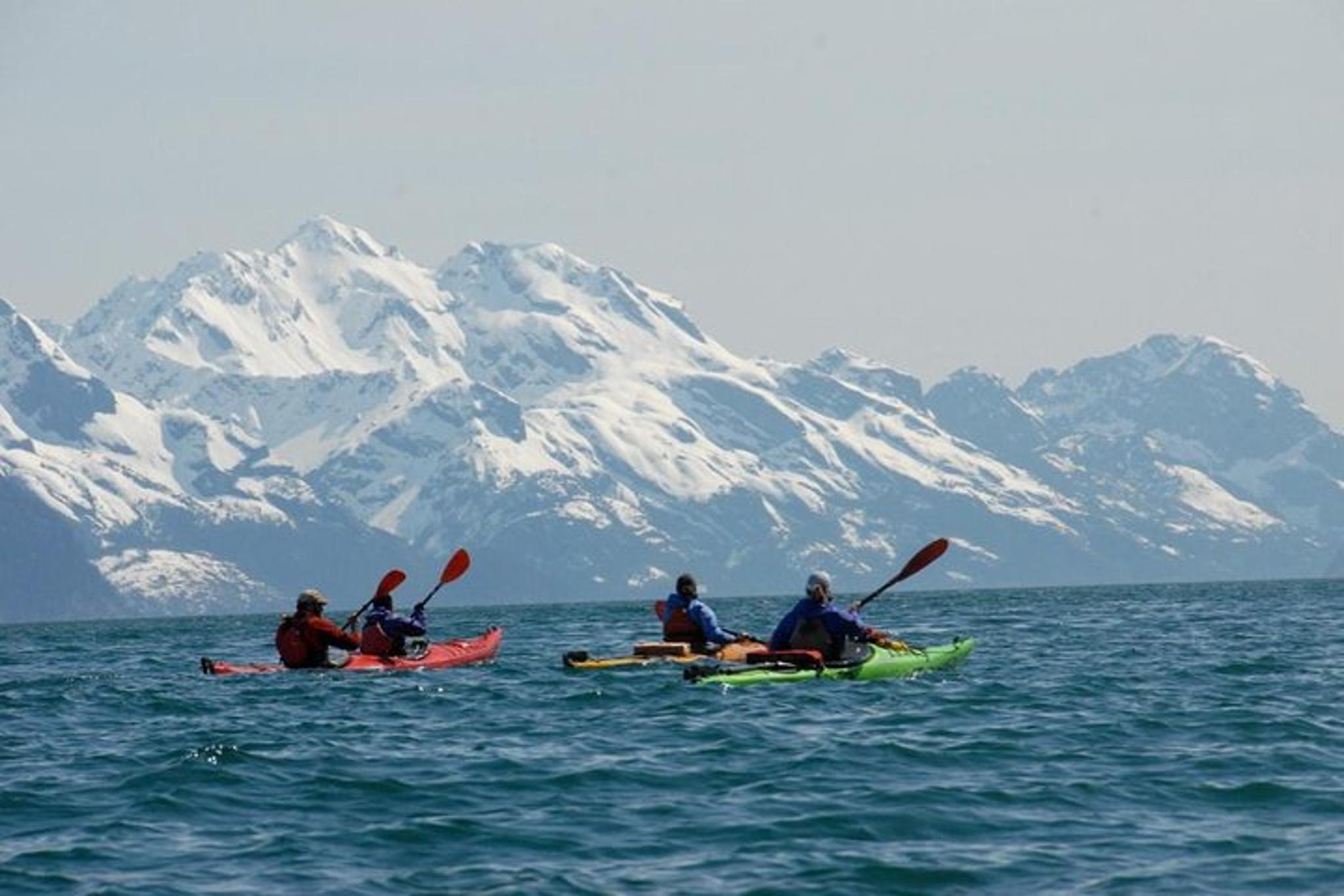 Seward Kayaking Adventure in Resurrection Bay - Image 4