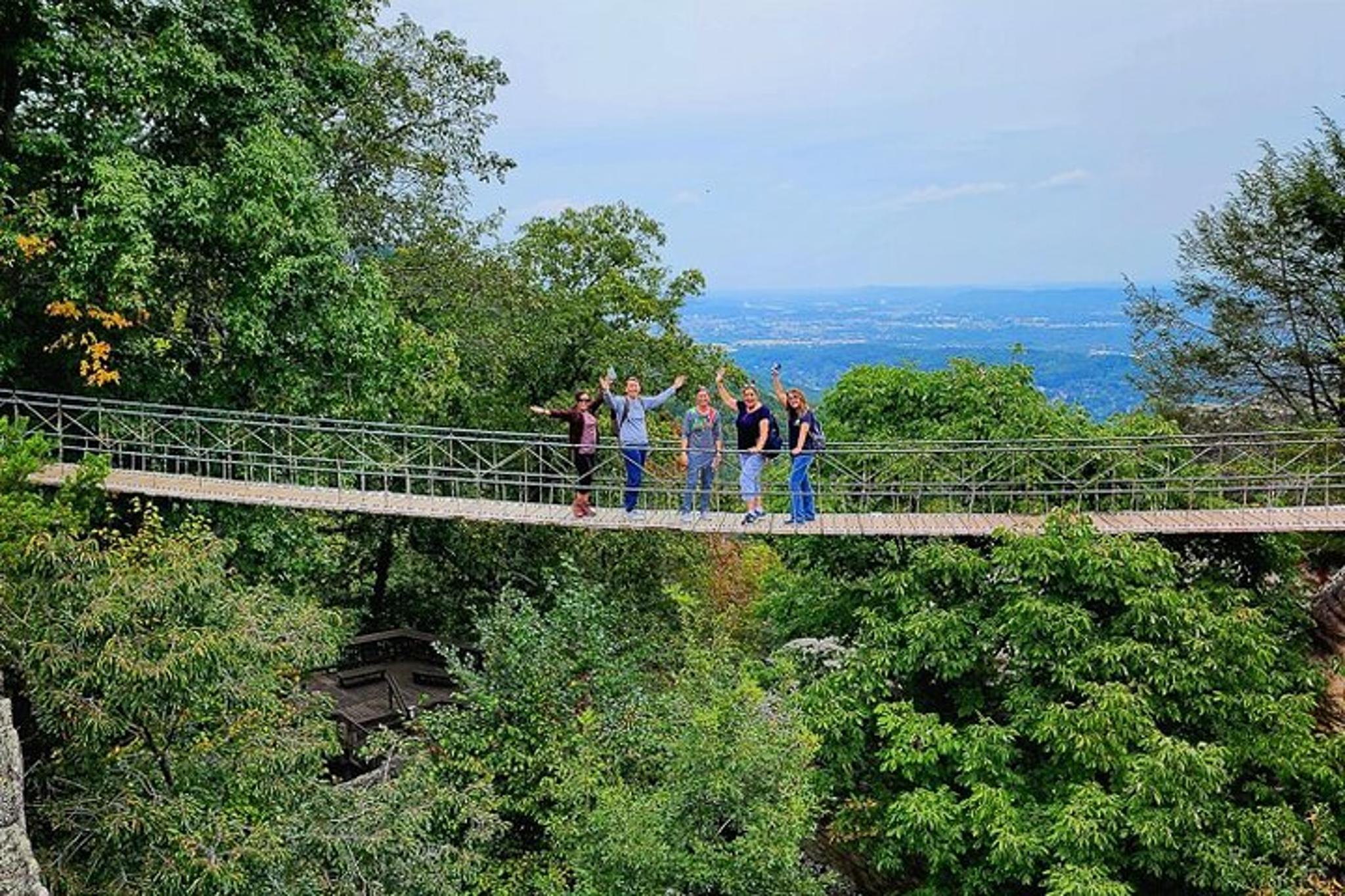 Nashville Ruby Falls and Rock City Daytrip - Image 2
