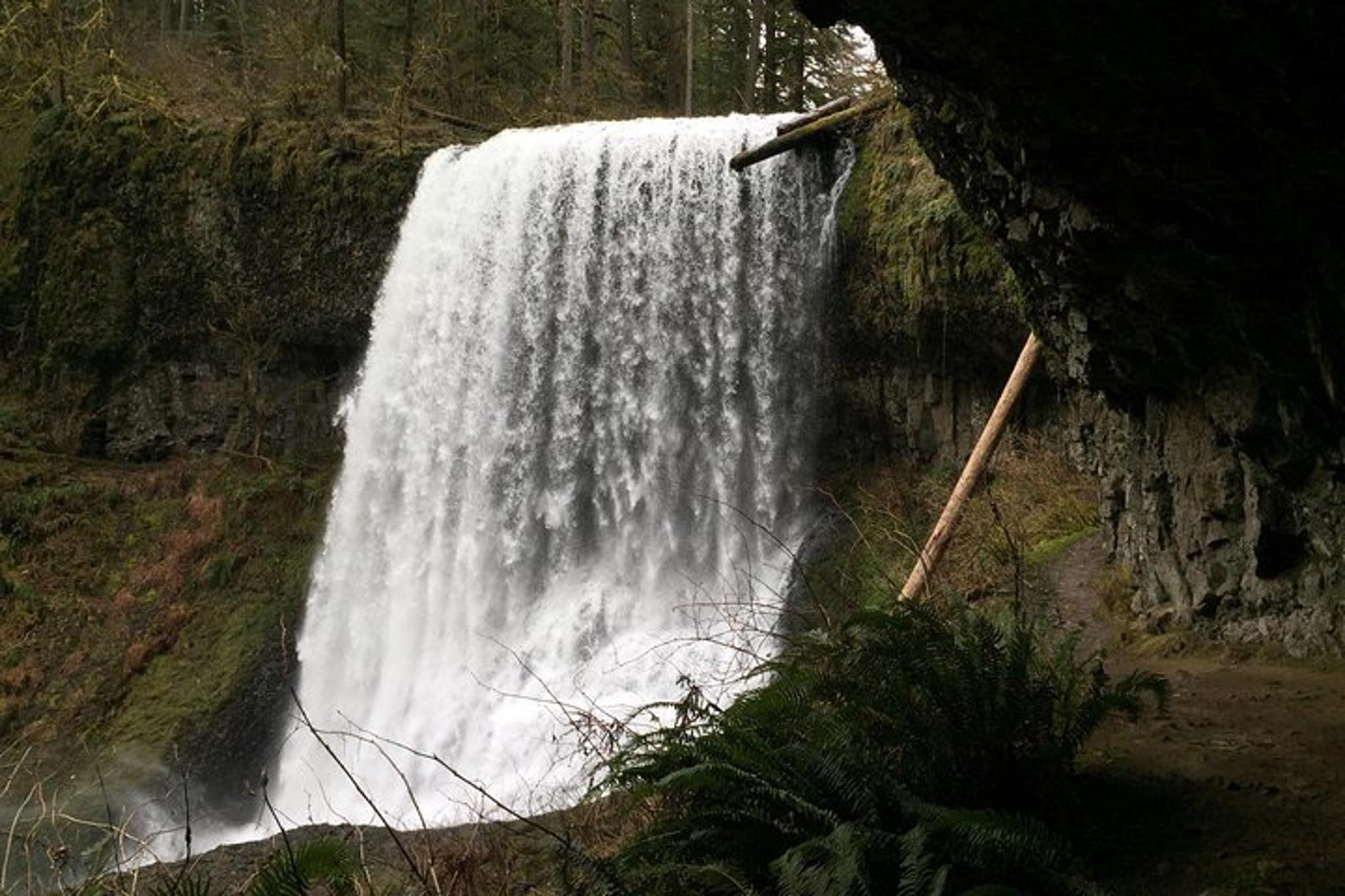 Silver Falls Hike in Oregon - Image 3