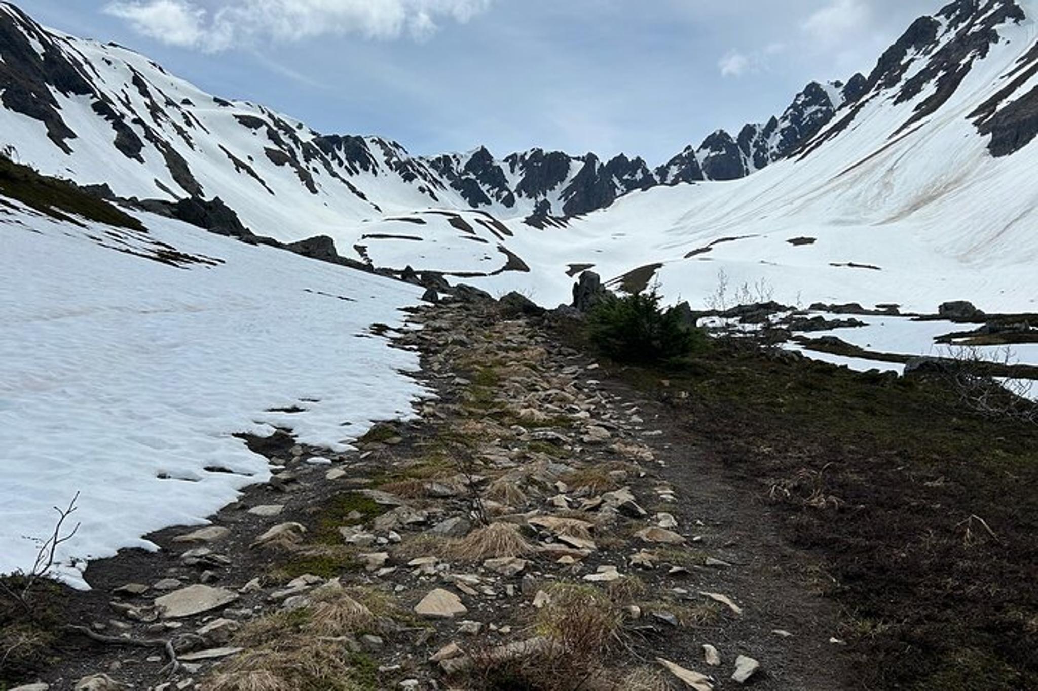 Seward Mount Marathon Hiking Tour - Image 2
