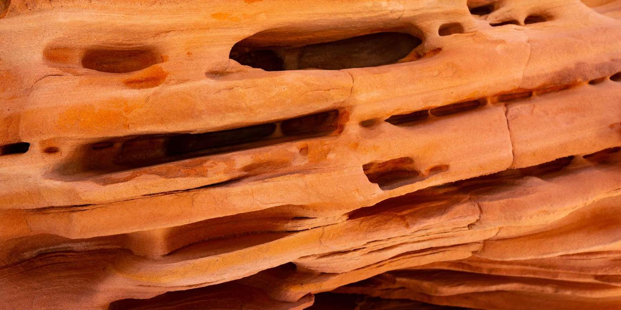 Las Vegas Valley of Fire Private Group Tour 5 hr - Image 5