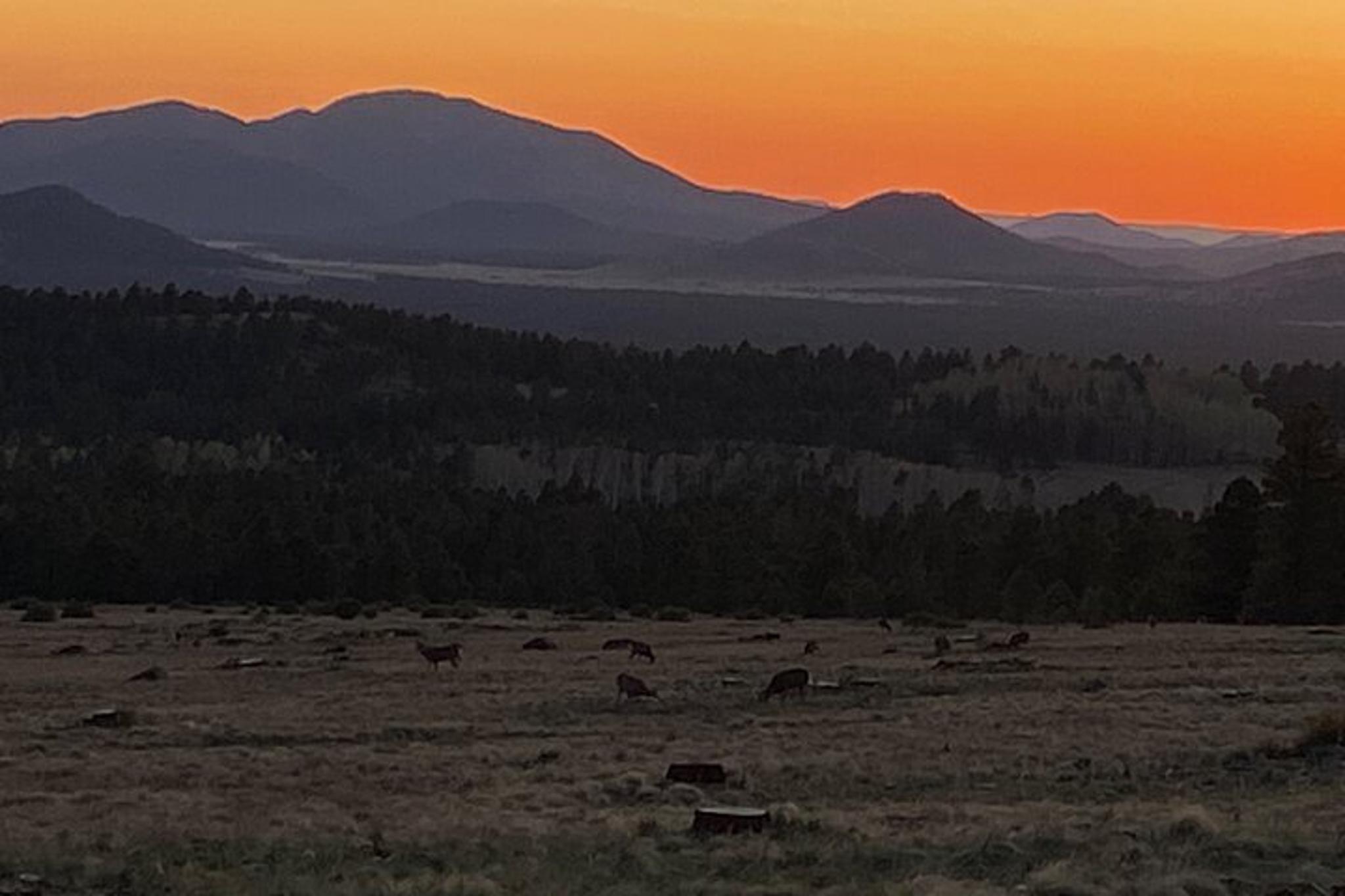 Flagstaff E-Bike Tour - Image 4