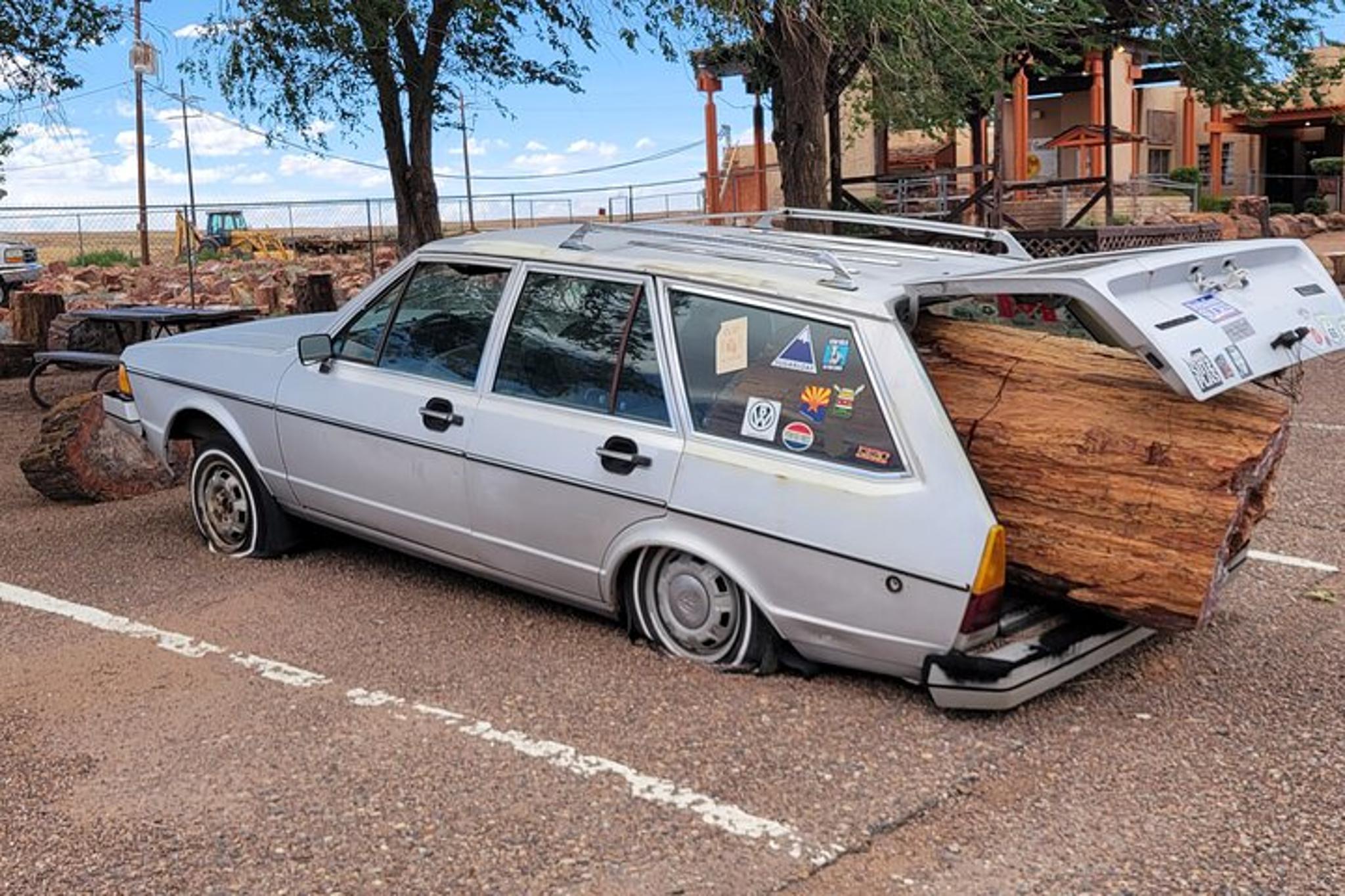 Sedona Petrified Forest and Painted Desert Tour - Image 5