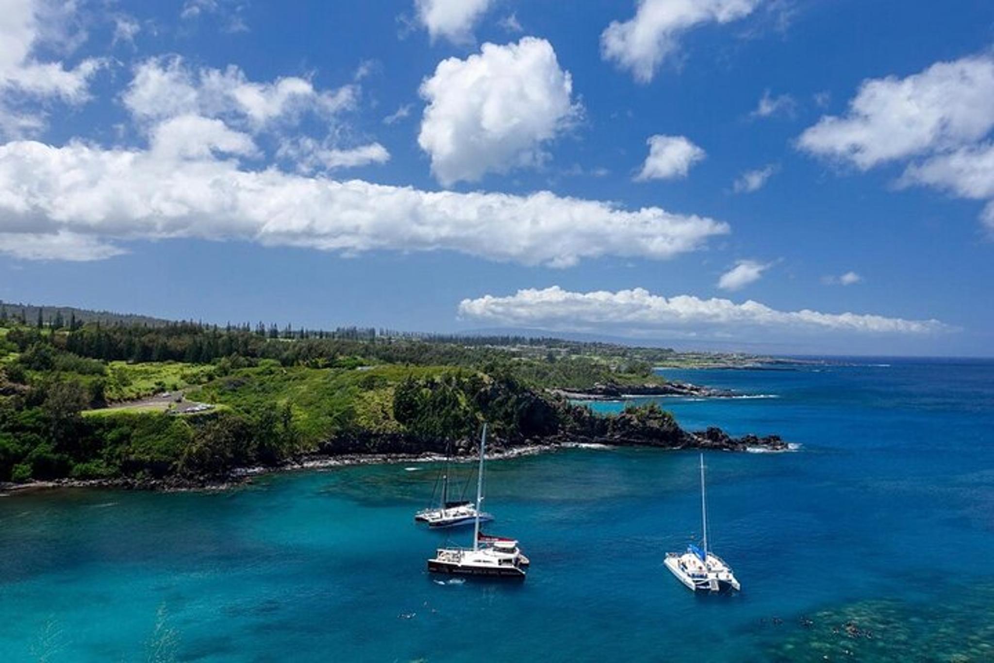 Lahaina Open-Air Sightseeing Tour 75 min - Image 5