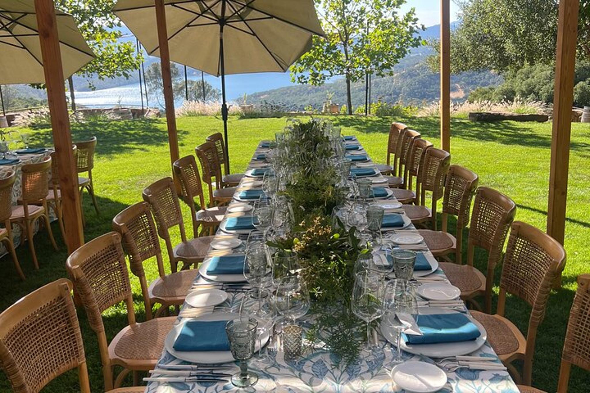 Napa Valley Wine Tour with Champagne