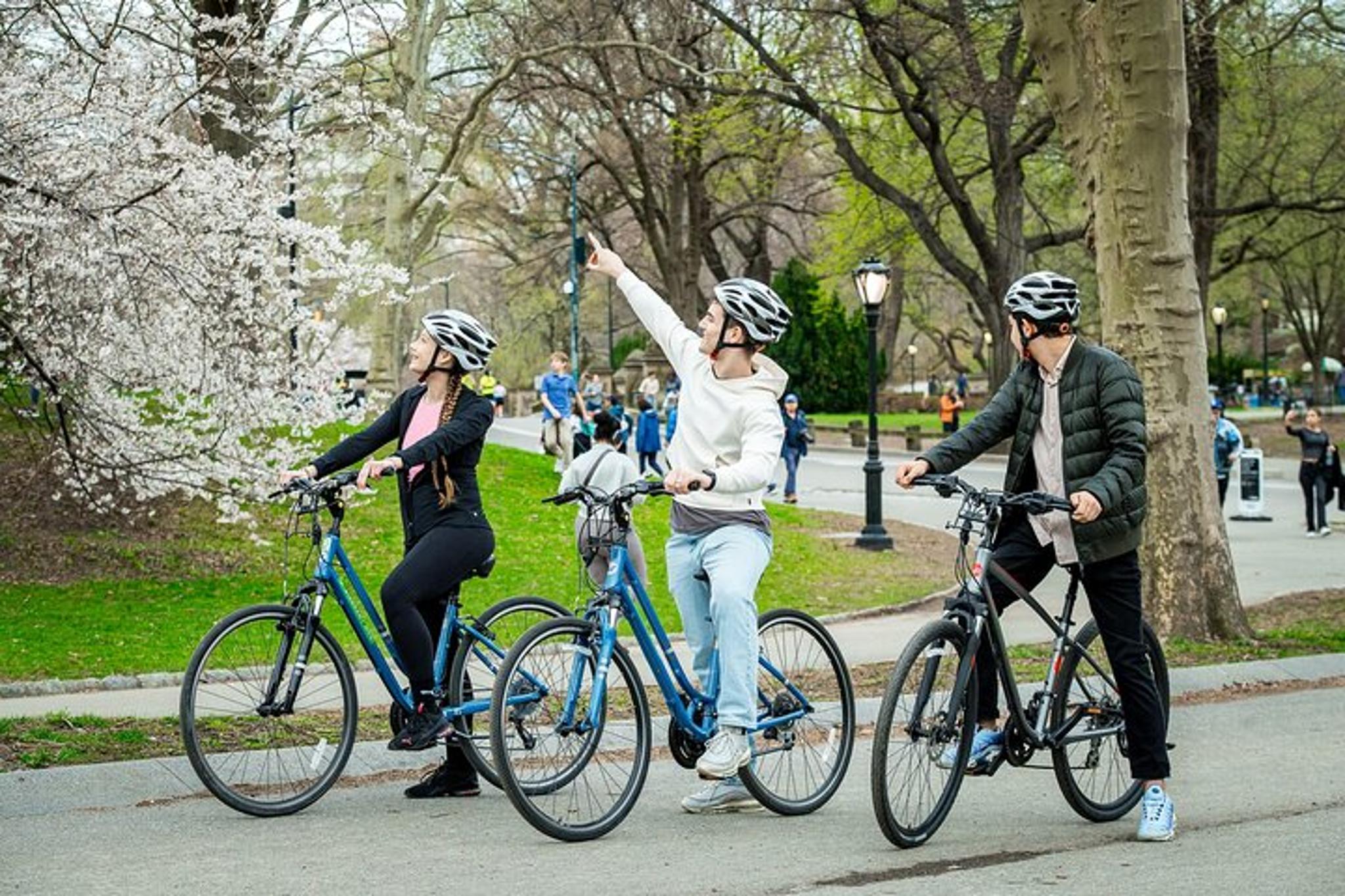 New York City Central Park Bike Rental