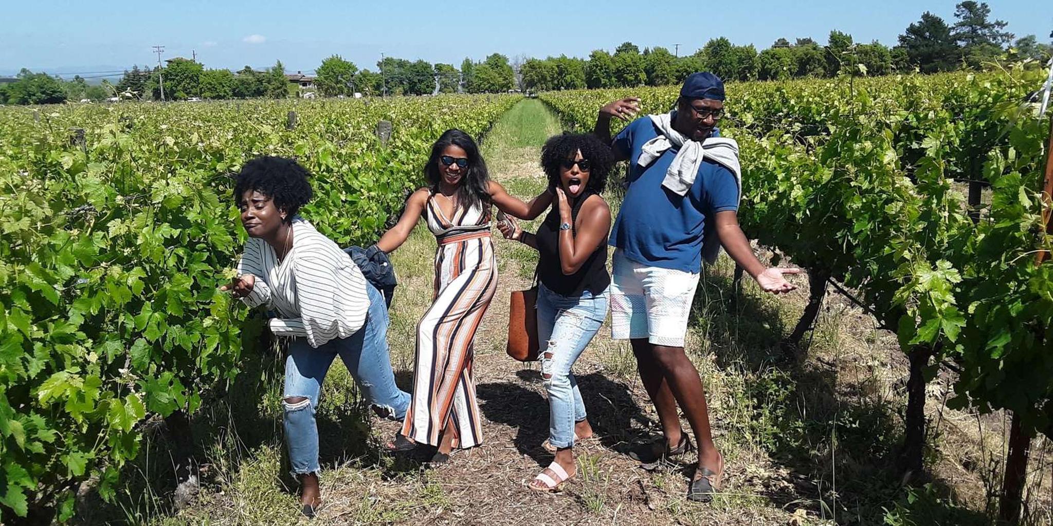 Napa and Sonoma Private Wine Tour - Image 5