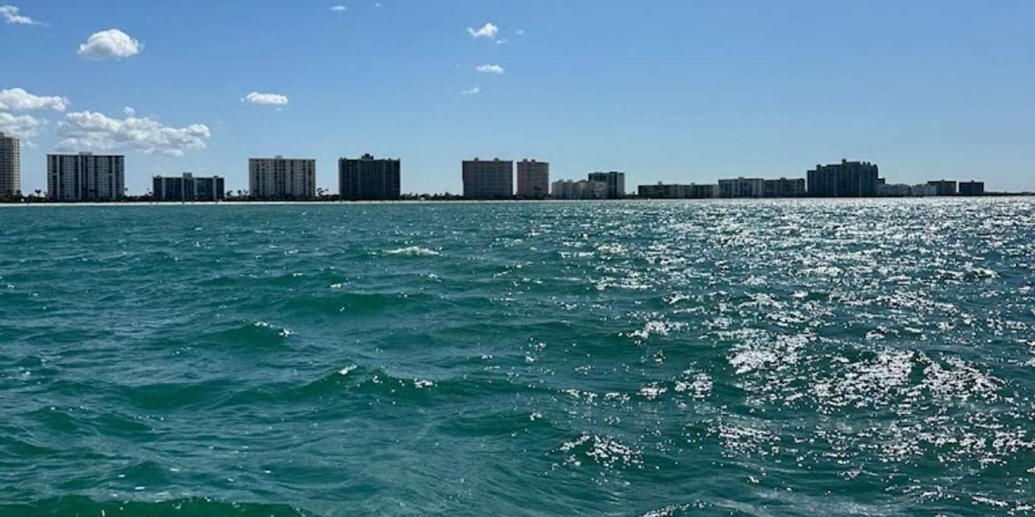 Clearwater Jet Ski Dolphin Tour 1 Hour - Image 2