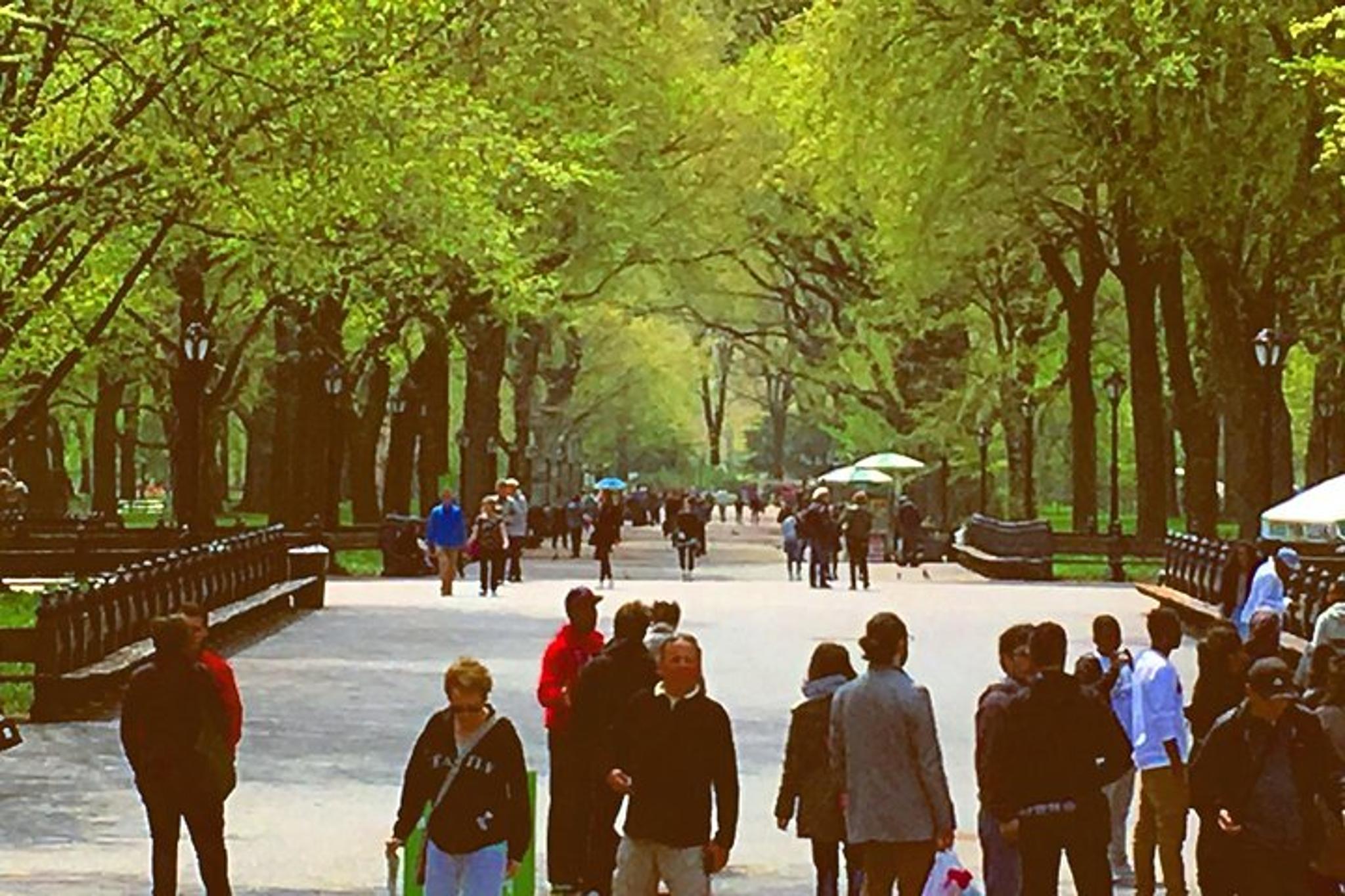 New York Central Park Pedicab Tour - Image 3