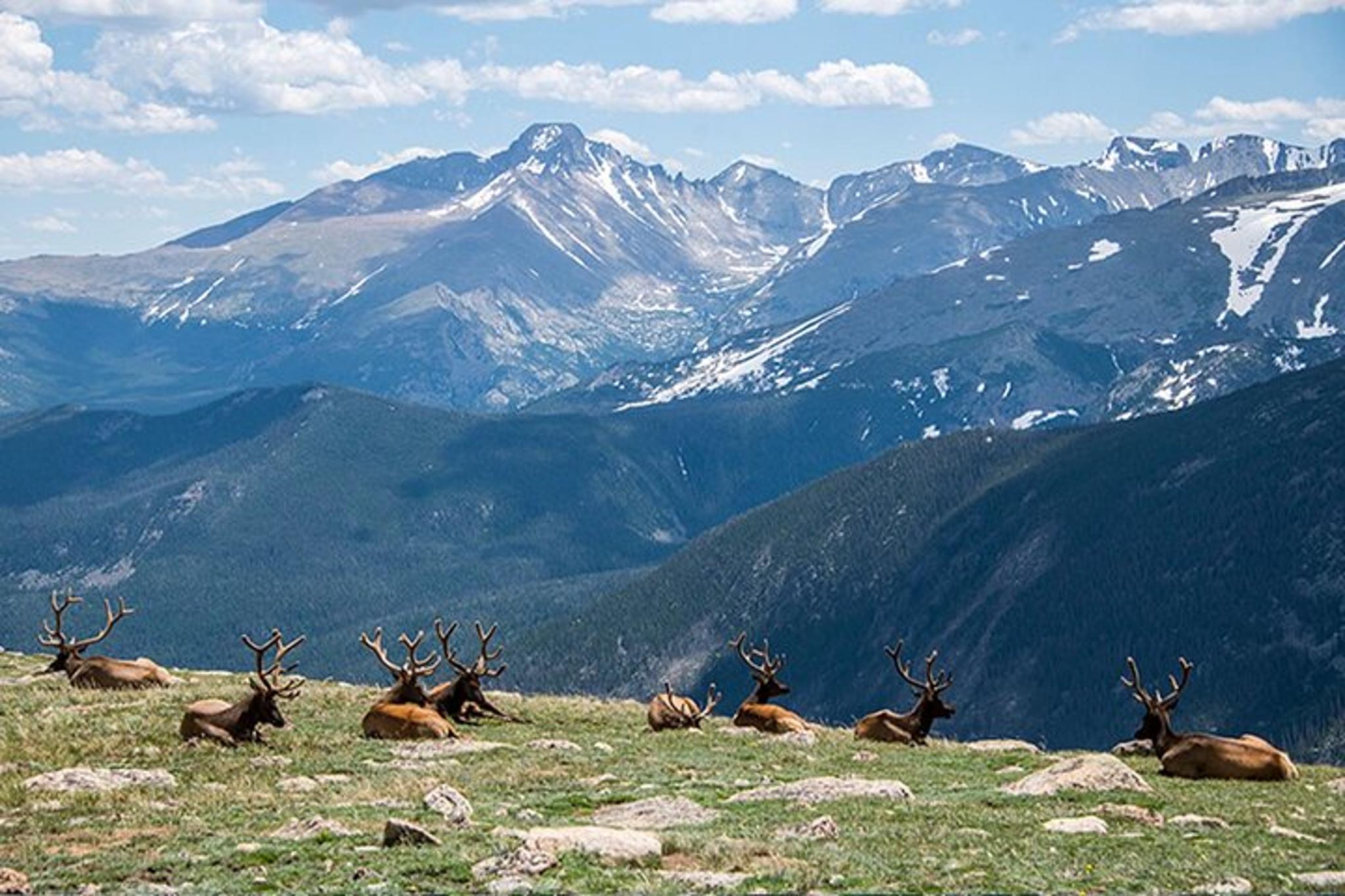 Rocky Mountain National Park Day Tour - Image 2
