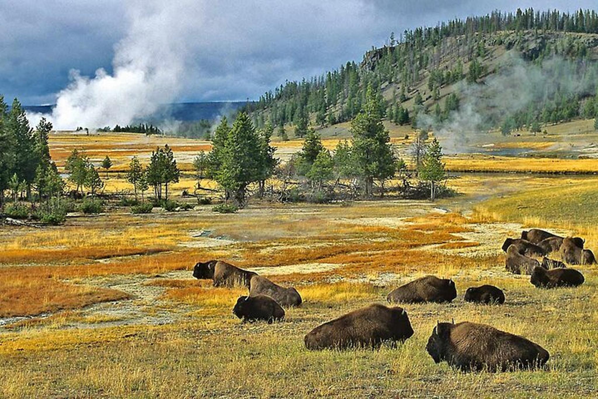 Los Angeles to Chicago Cross-Country Bus Tour - Image 5