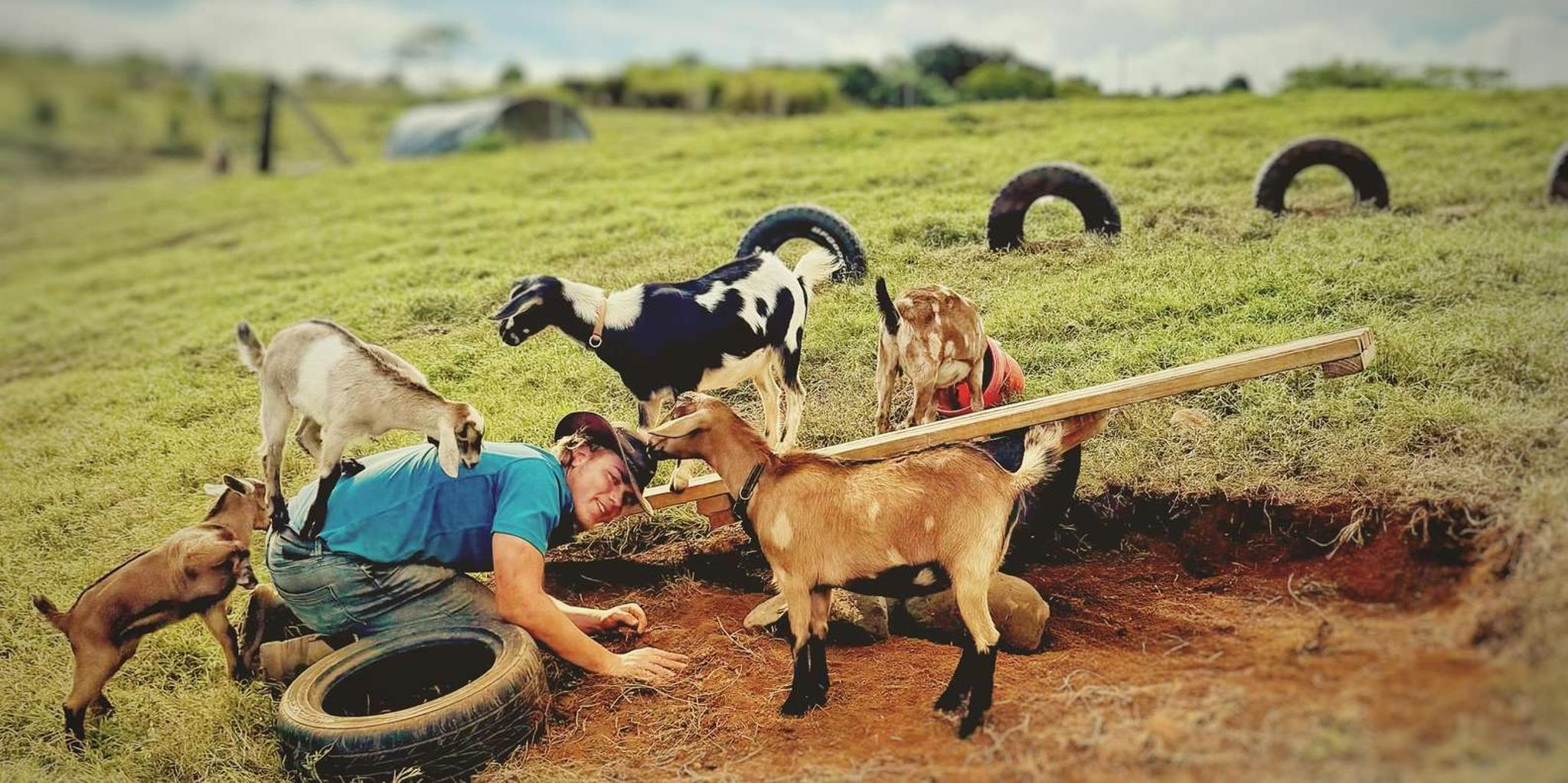 Kauai Farm Animal Experience and MicroDairy Tour - Image 1