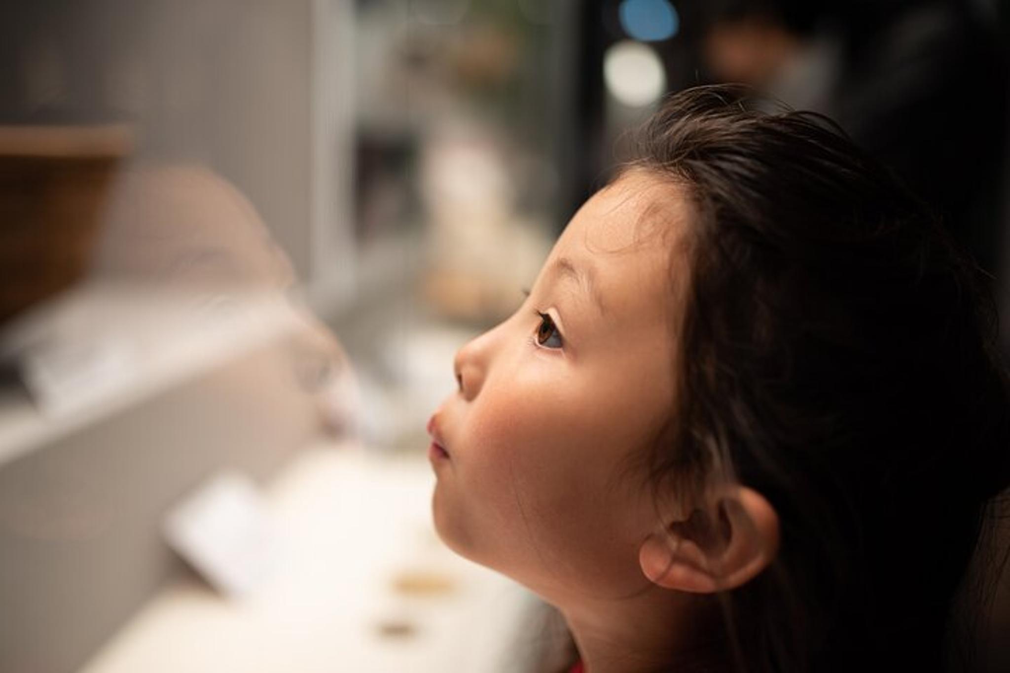 New York City Metropolitan Museum and Central Park Tour - Image 1