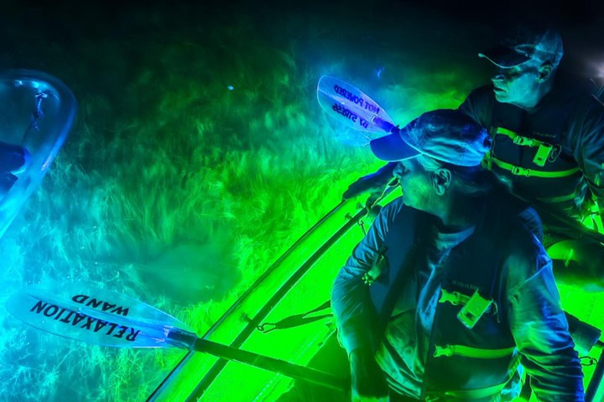 Port Aransas Kayak Tour at Lighthouse Lakes - Image 2