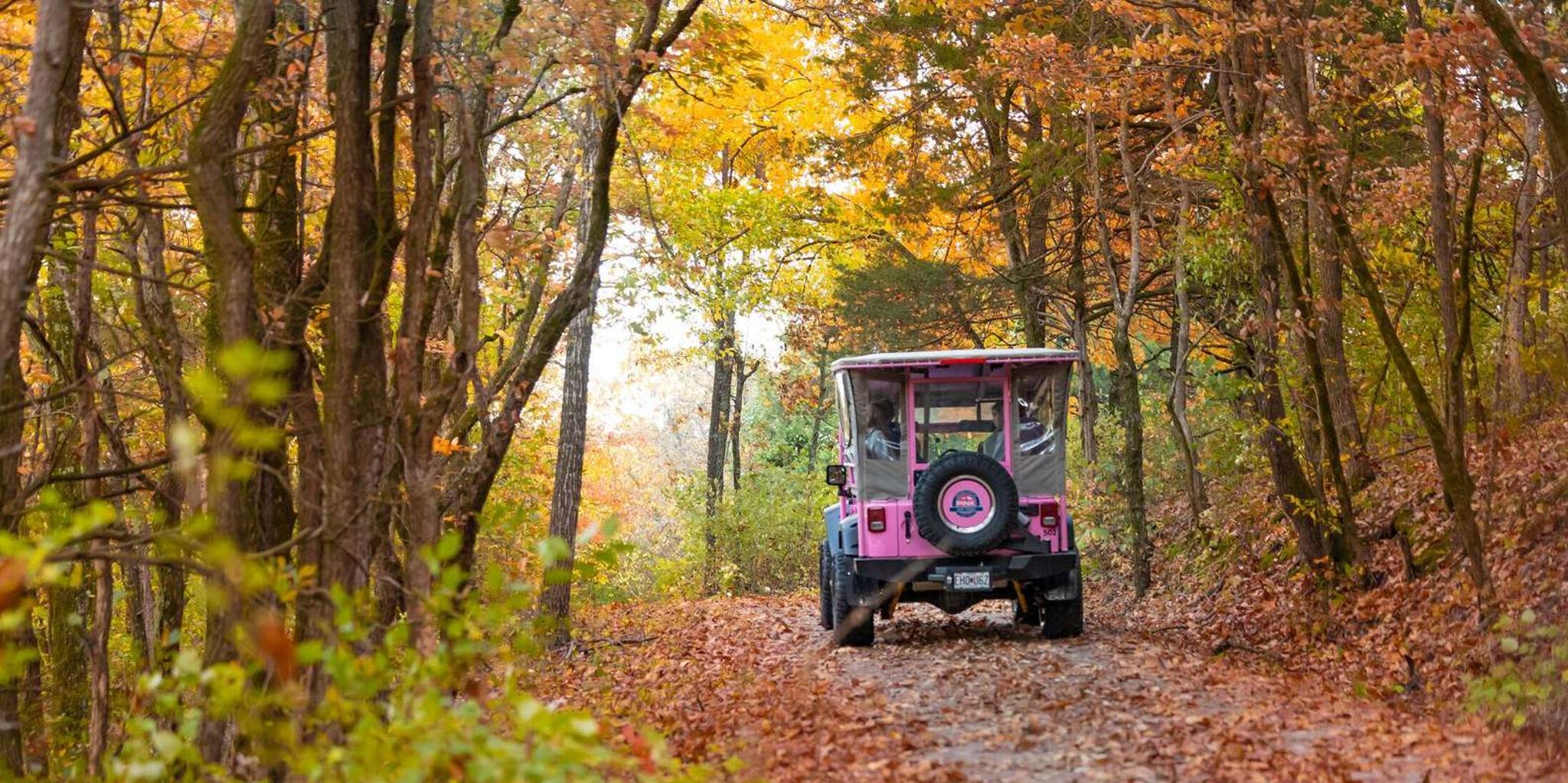 Branson Jeep Tour of Table Rock Lake and Baird Mountain - Image 6