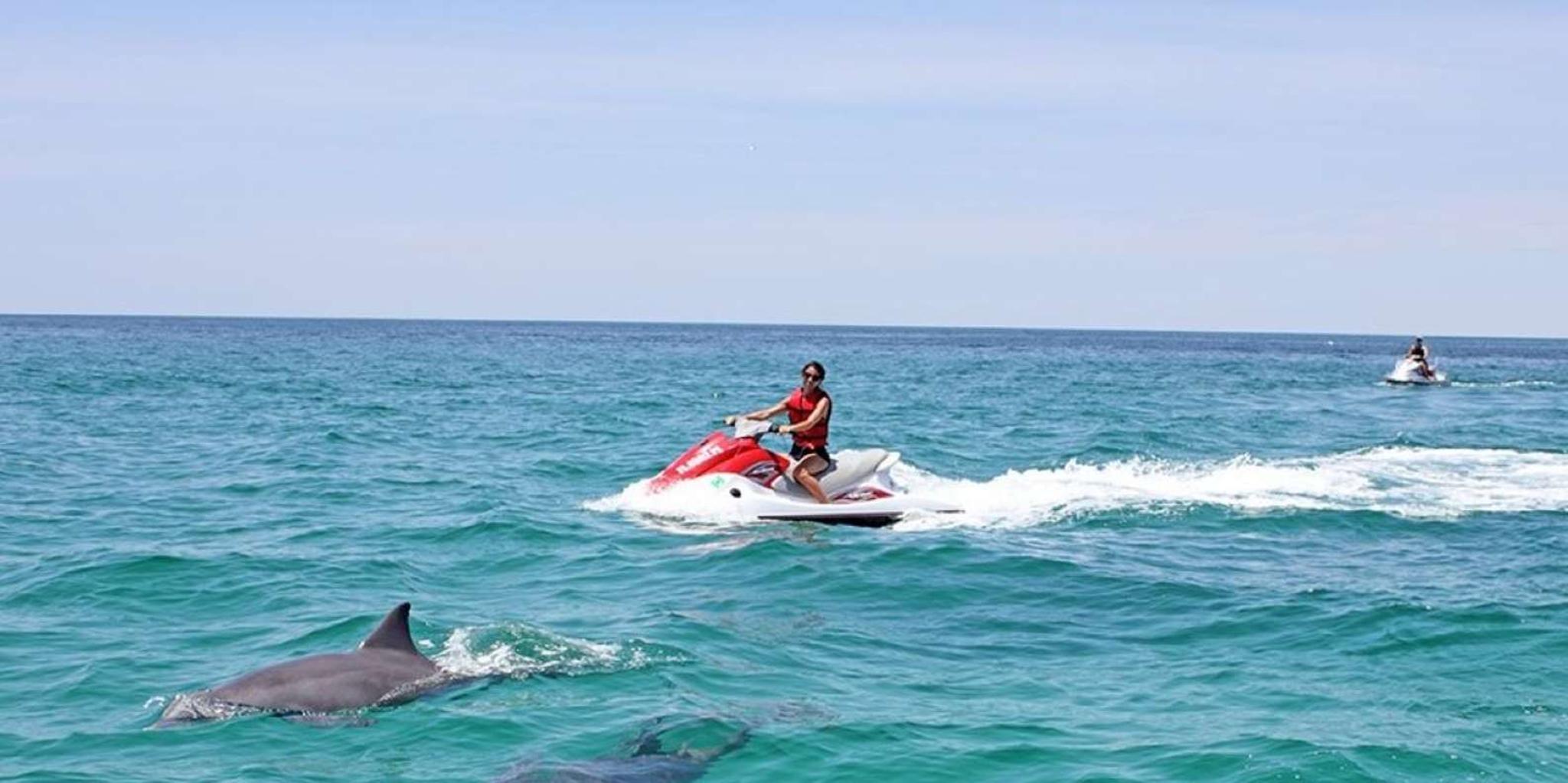 Destin Crab Island Dolphin Jet Ski Tour - Image 3