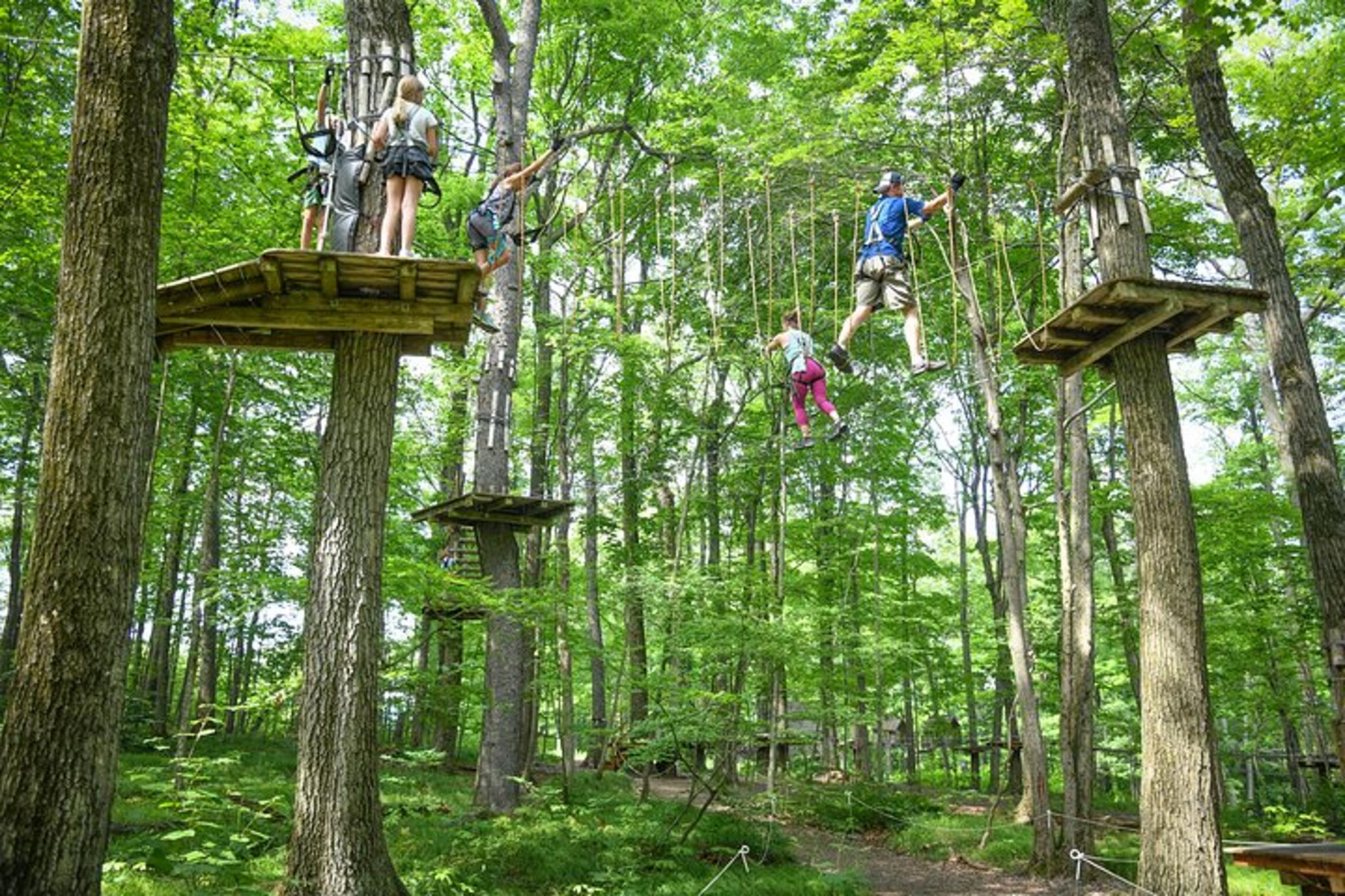 Bristol Mountain Aerial Adventure Park Admission