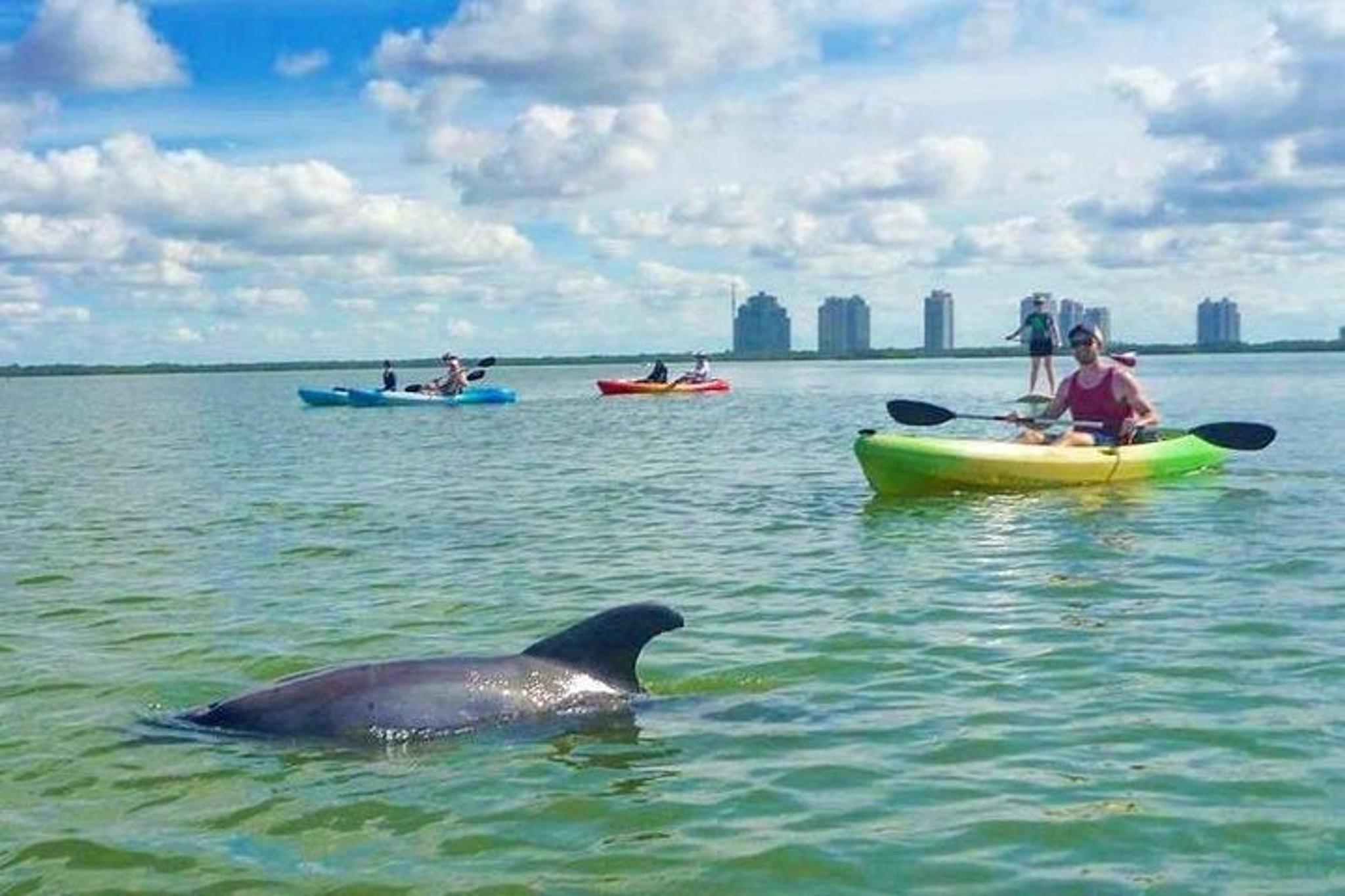 Bonita Springs EcoTour: Clear Kayak & SUP - 2.5 hr
