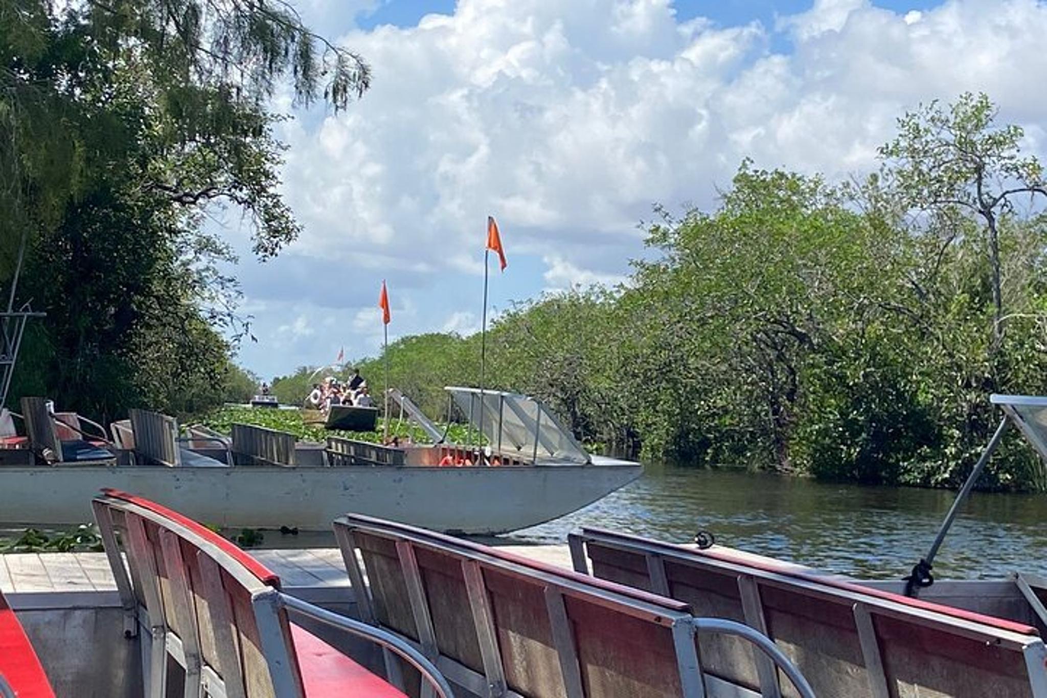 Miami Everglades Eco Tour - Image 5