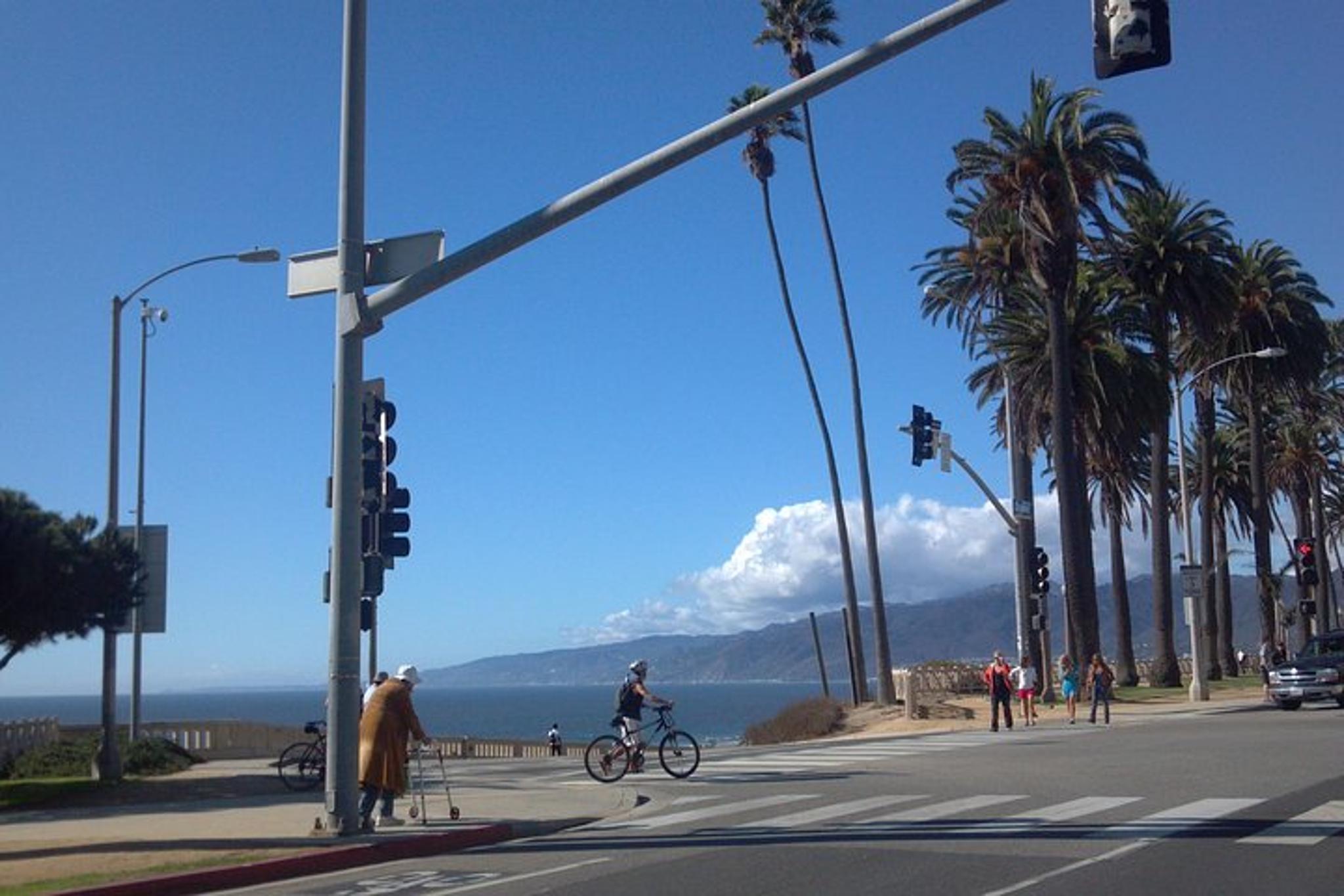 Santa Monica Coastal Tour of Venice Beach and Malibu