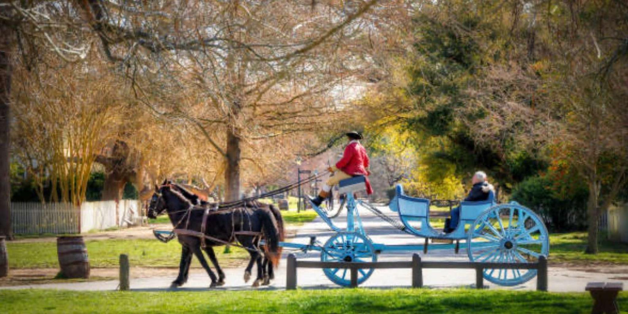 Williamsburg Colonial History Walking Tour - Image 6