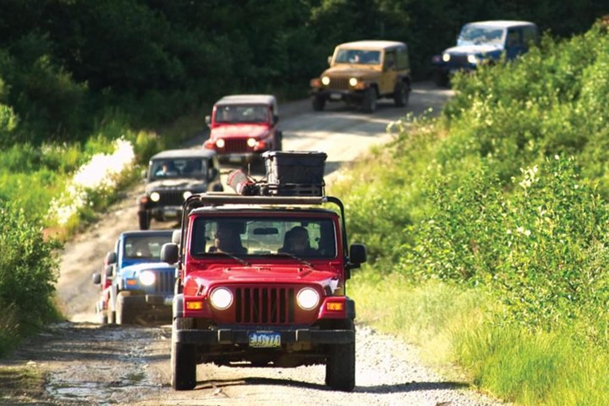 Ketchikan Jeep and Canoe Safari - Image 3