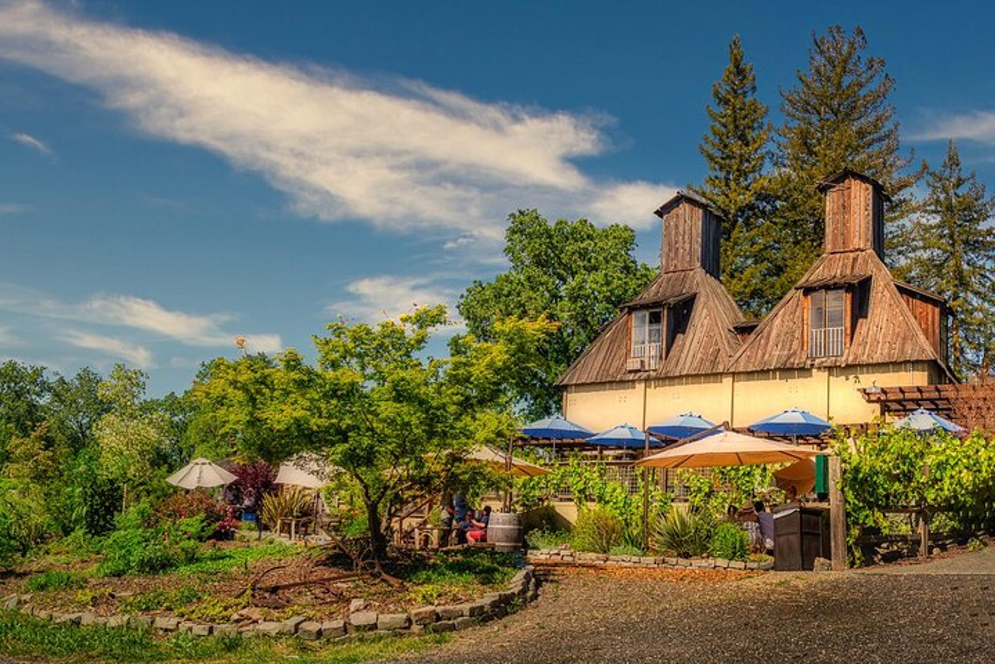 San Francisco Armstrong Redwoods and Wine Tour - Image 4