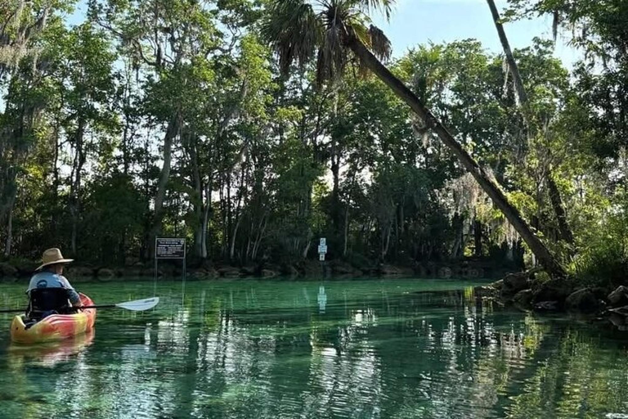 Crystal River Kayak Adventure - Image 2