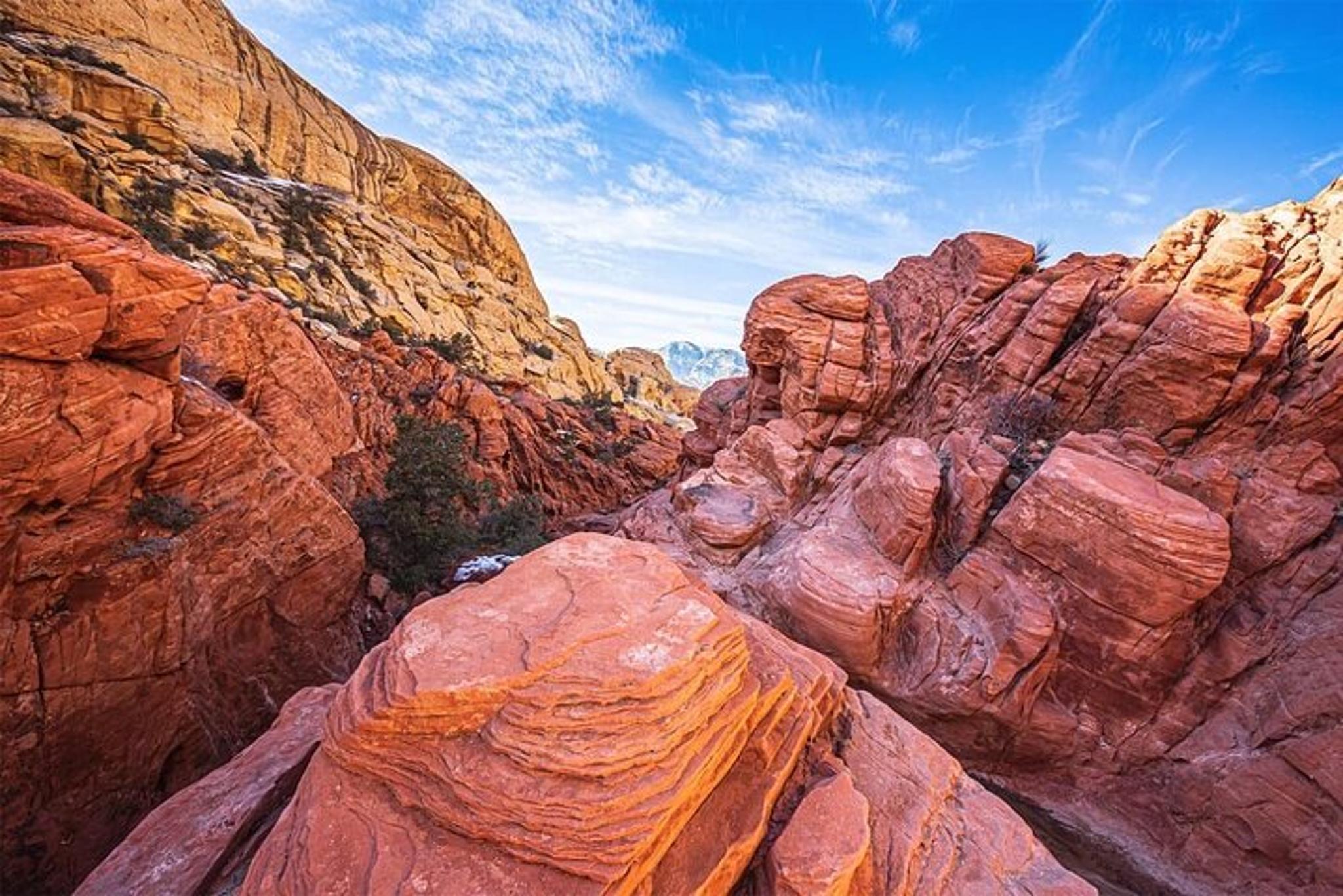 Las Vegas Red Rock Canyon Scenic Loop Tour