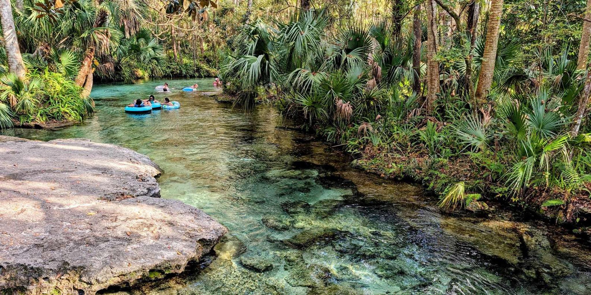 Orlando Everglades Airboat Tour - Image 4