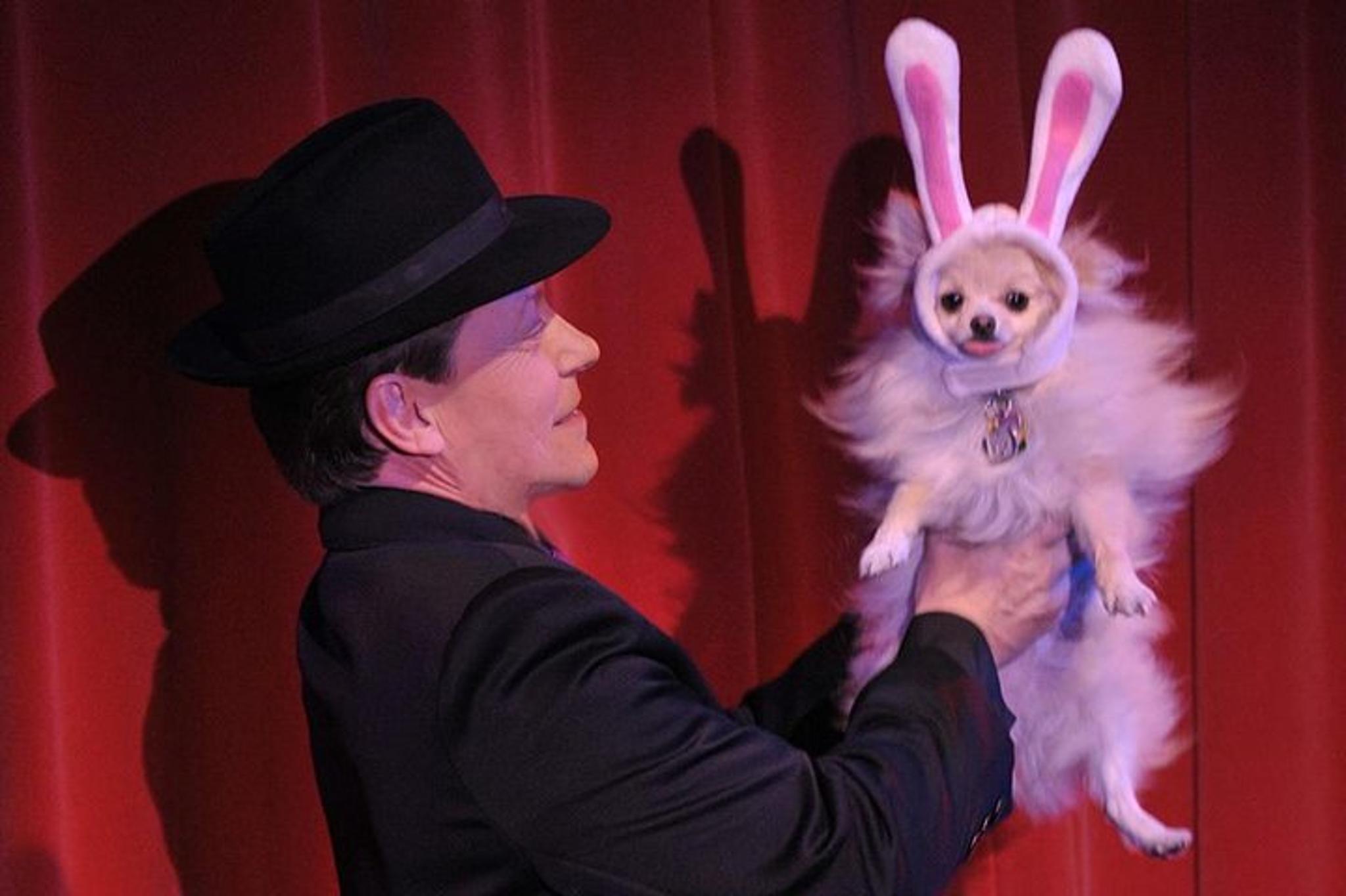 Las Vegas Magic Show with Dinner and Cocktails - Image 2