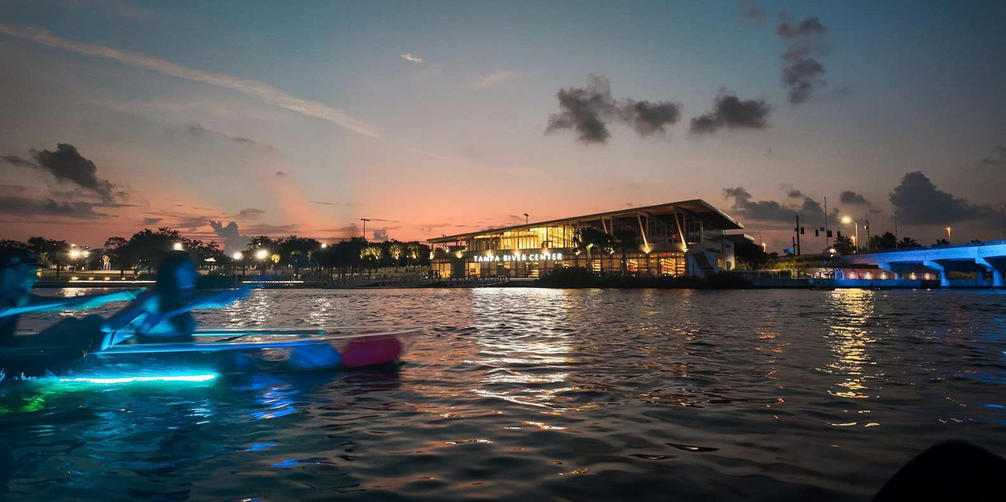 Tampa Clear Kayak Night Tour - Image 5