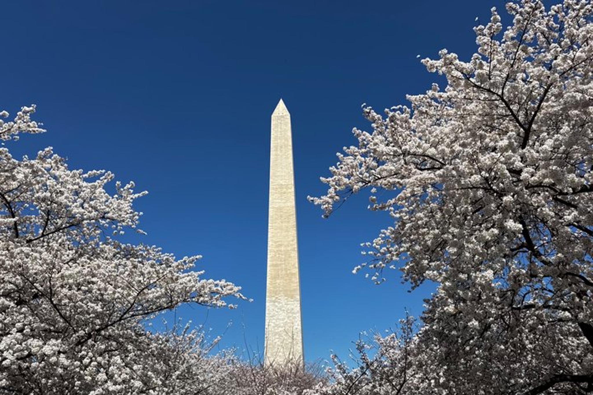 Washington DC Tour with Changing of the Guard - Image 4