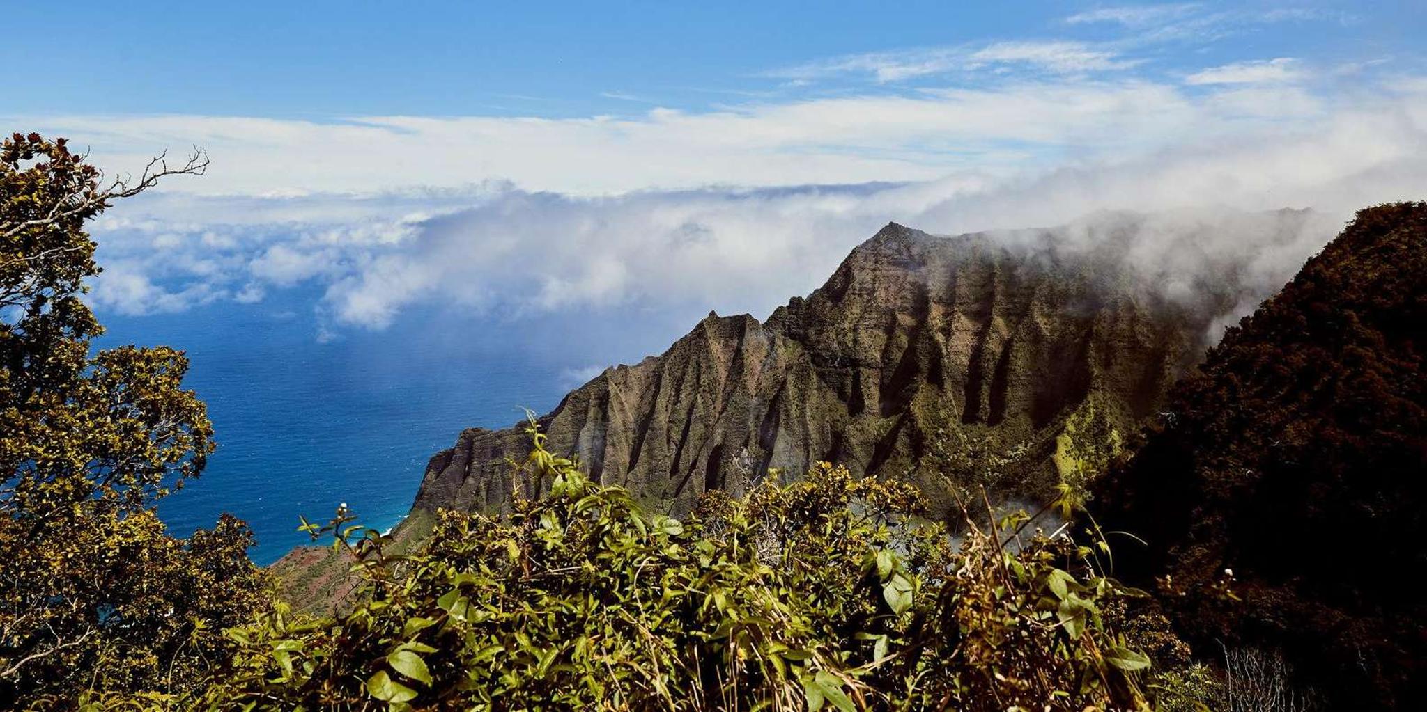 Kauai Day Tour: Kalalau, Waimea, Poipu - Image 5