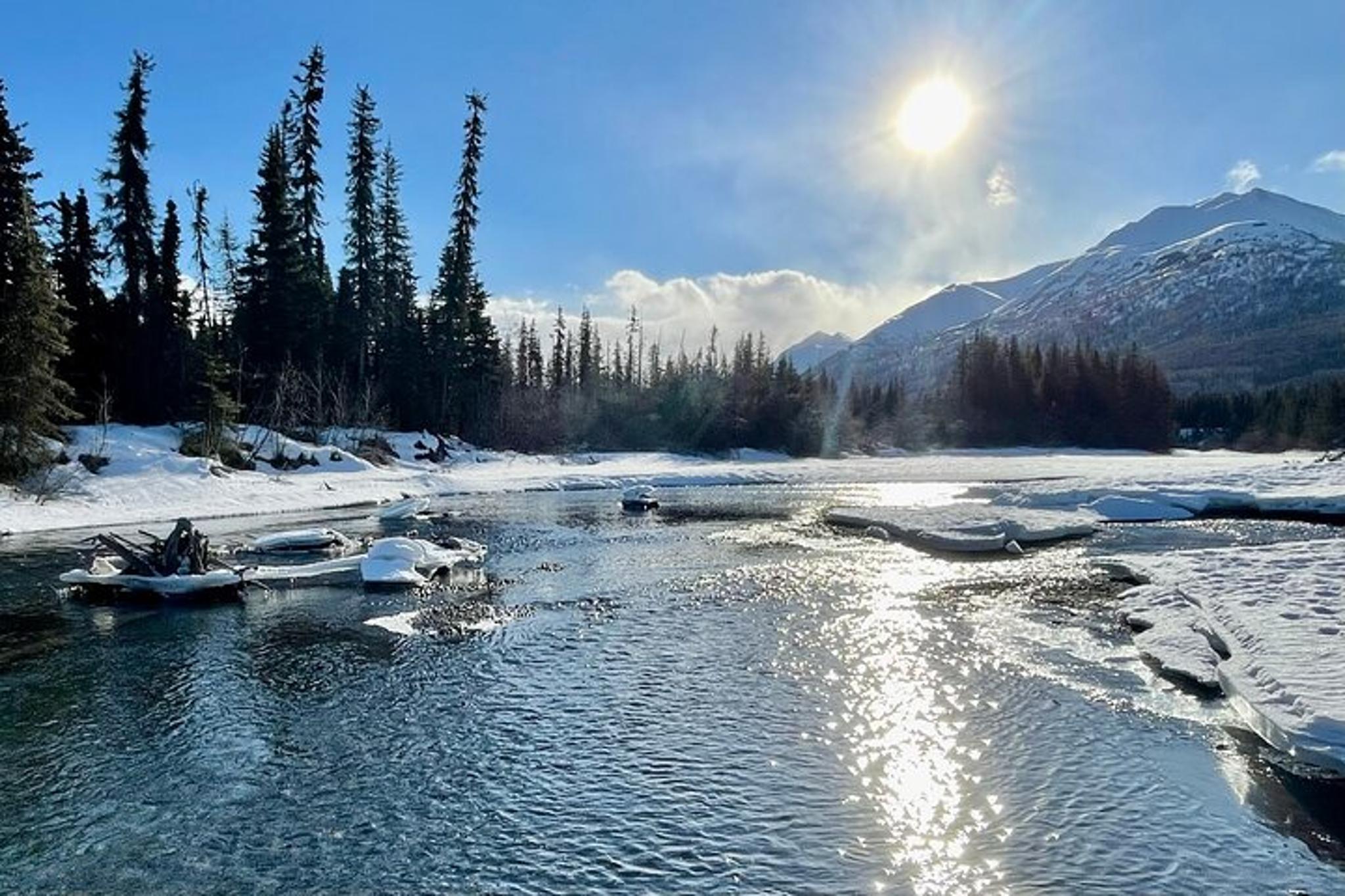 Anchorage Winter Valley and Forest Hike - Image 2