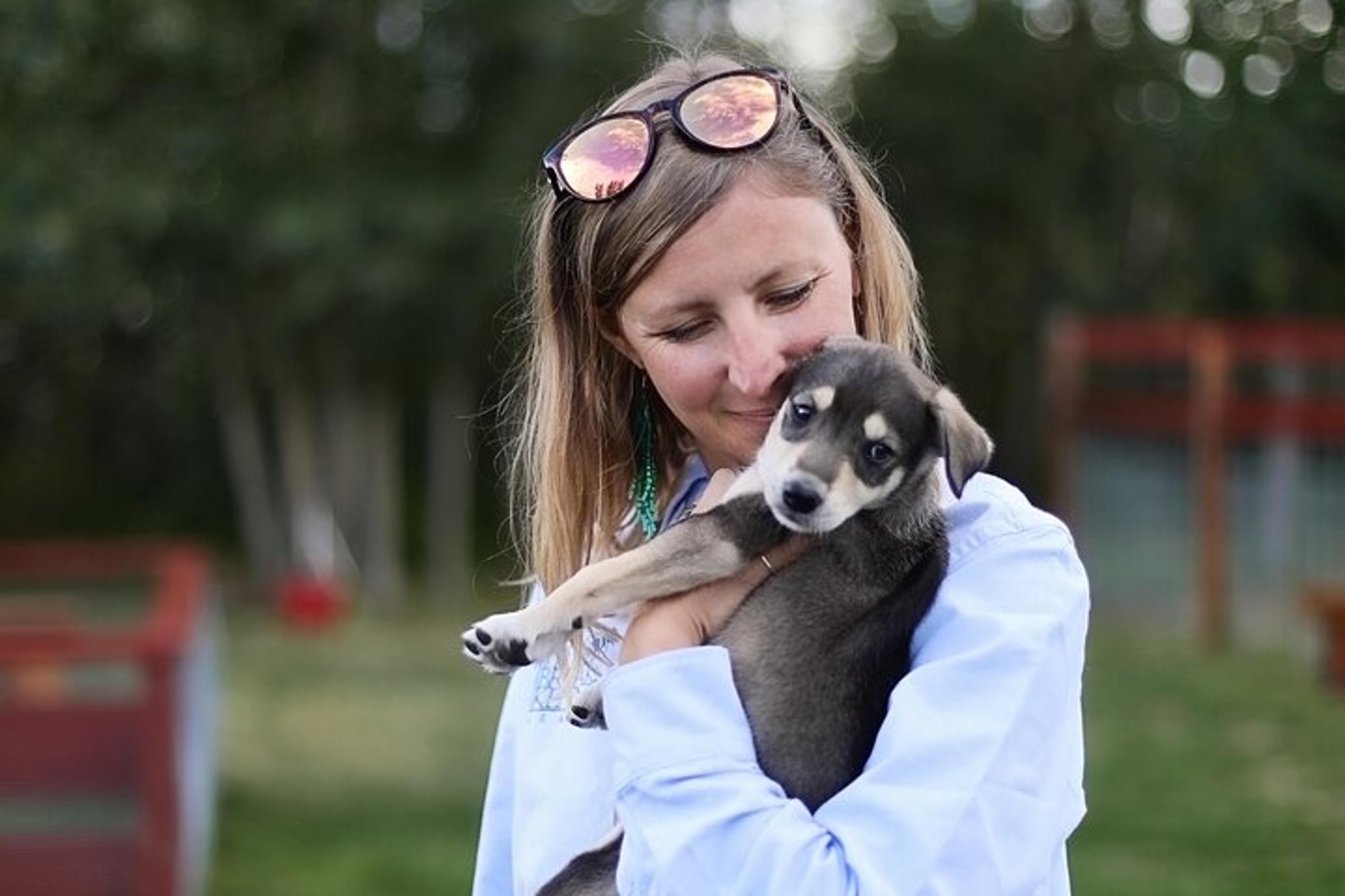 Fairbanks Beer and Puppies Experience 1.5 hr - Image 6