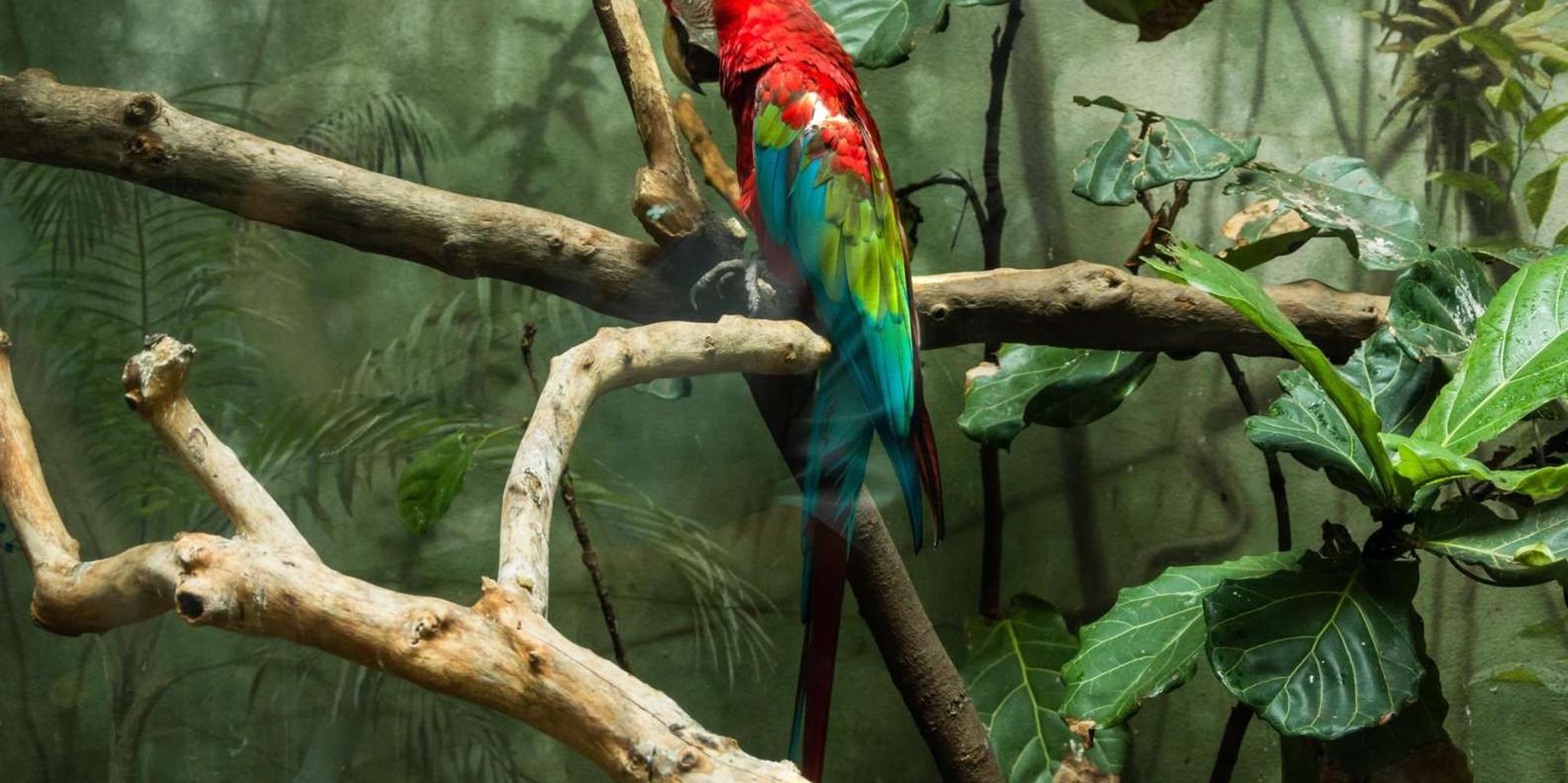 New York Central Park Zoo Tour with Private Transfers - Image 3