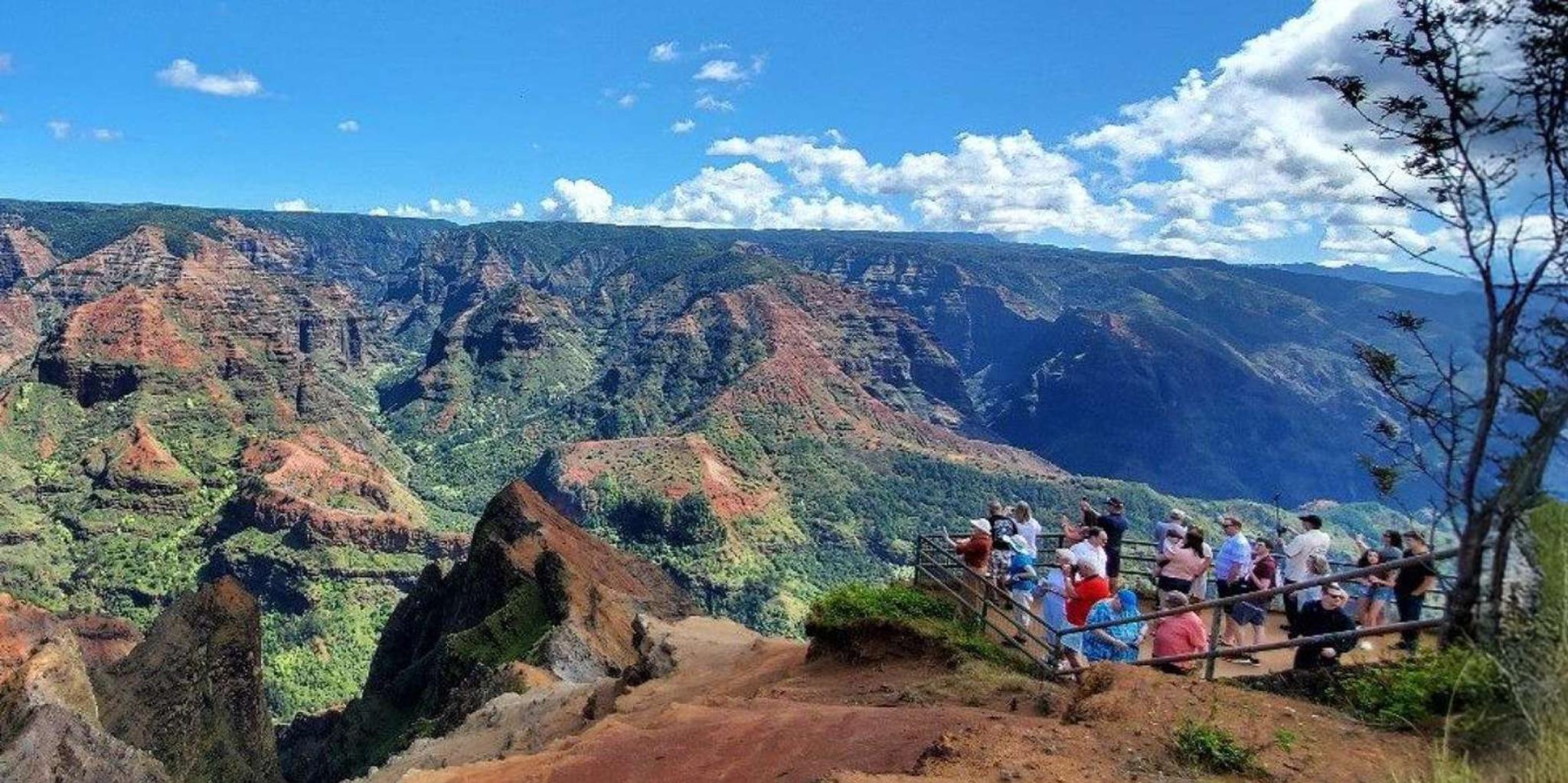 Kauai Day Tour: Kalalau, Waimea, Poipu - Image 2